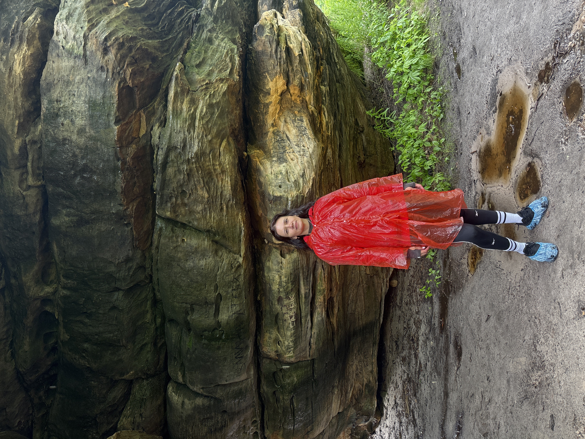 A woman stands in front of a large rock formation with striations and some visible graffiti. She is wearing a bright red plastic poncho over black leggings with white stripes at the calves and white socks. She has on black athletic shoes with blue protective covers over them. The ground in front of her is dirt and mud with several puddles. Green plants grow to the right of the rock formation. The rock formation appears to be in a natural outdoor setting. The image context suggests this location is in Shumikhinskii, Russia.