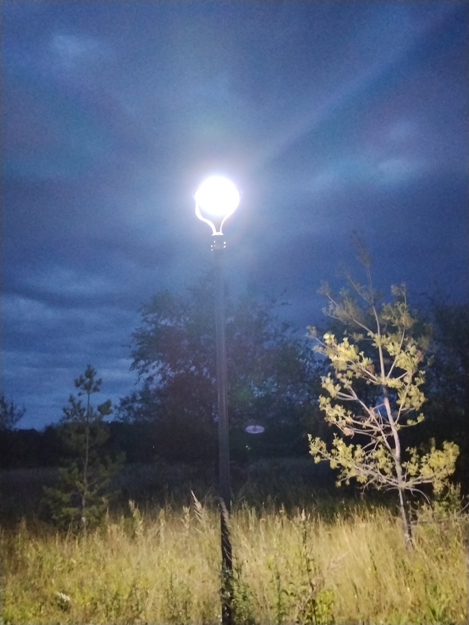 The image shows a night scene with a bright streetlamp illuminating a grassy field and trees. The sky is a deep blue with some clouds and the light from the streetlamp casts a glow, creating rays. There are several trees of varying sizes, with one prominent tree in the foreground on the right with yellow-green leaves. The field is covered in tall, dry grass. The overall impression is of a park or natural area at dusk or nighttime. The location is the city of Kokshetau, Kazakhstan.