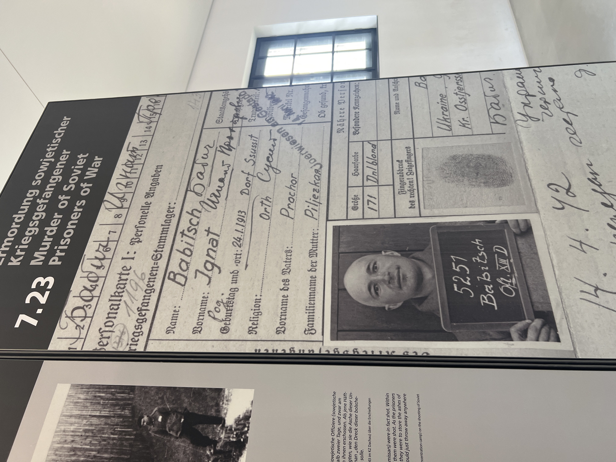This image shows a display at the Dachau Concentration Camp Memorial Site in Dachau, Germany. The display features a large black panel with text and a photograph. The text at the top reads "7.23 Ermordung sowjetischer Kriegsgefangener Murder of Soviet Prisoners of War". Below this is a black and white photograph of a man holding a chalkboard with the number "5251", the name "Babitzsch", and "OH. XIII D" written on it. The photograph is overlaid on a document that appears to be a personal record, with fields for name, birth date, religion, and other details. The document has handwritten entries in a language that appears to be German and possibly Russian. There is also a fingerprint sample and other handwritten text on the document. To the left of the main display is a black and white photograph of a person in a uniform standing in a wooded area. The background of the display appears to be a wall, and a window with light streaming through it is visible to the right of the display.