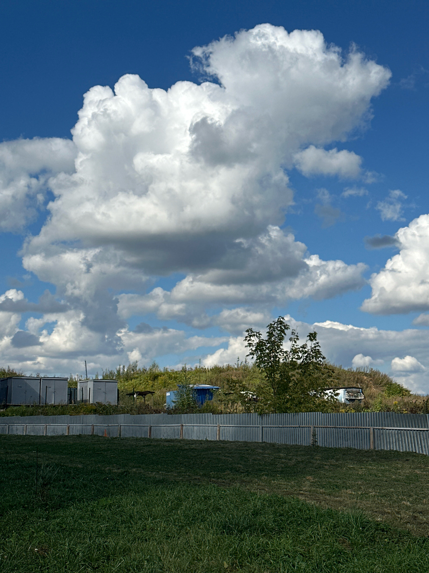 A photograph taken in Vidnoye, Russia captures a rural landscape under a bright blue sky with dramatic white clouds. In the foreground, a lush green grassy field stretches across the frame, bordered by a corrugated metal fence. Behind the fence, a gentle slope is covered in dense vegetation and trees, with several small, box-like structures, possibly sheds or storage units, visible among them. One prominent tree with dark green leaves stands out against the hillside. Further up the slope, a few more structures and a small blue building are discernible. The overall impression is one of a serene, natural setting with man-made elements integrated into the landscape.
