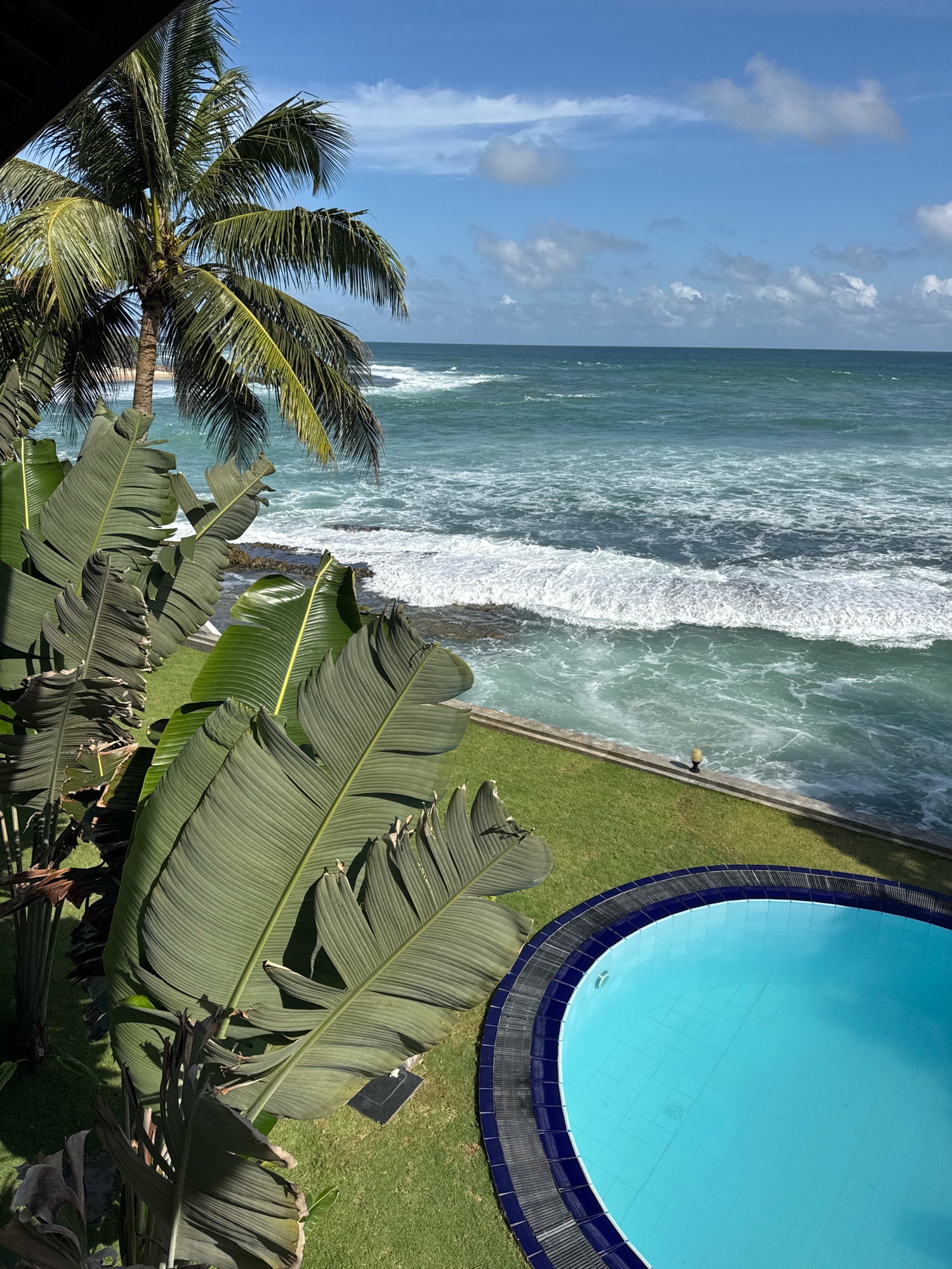 This is a high-angle, full shot of a tropical outdoor scene in Goviyapana, Sri Lanka. In the foreground, to the left, are several large, green, banana-like leaves. To the right, a round, bright blue swimming pool with a dark blue tiled edge is visible. The pool is situated on a neatly manicured green lawn. Beyond the lawn, a grey concrete retaining wall separates the grass from the ocean. Waves crash against rocks along the coastline. The ocean water is a vibrant turquoise color, with white surf. The horizon shows a clear blue sky with scattered white clouds. A mature palm tree with green fronds stands to the left of the scene, partially obscuring a glimpse of a sandy beach and more ocean in the distance.