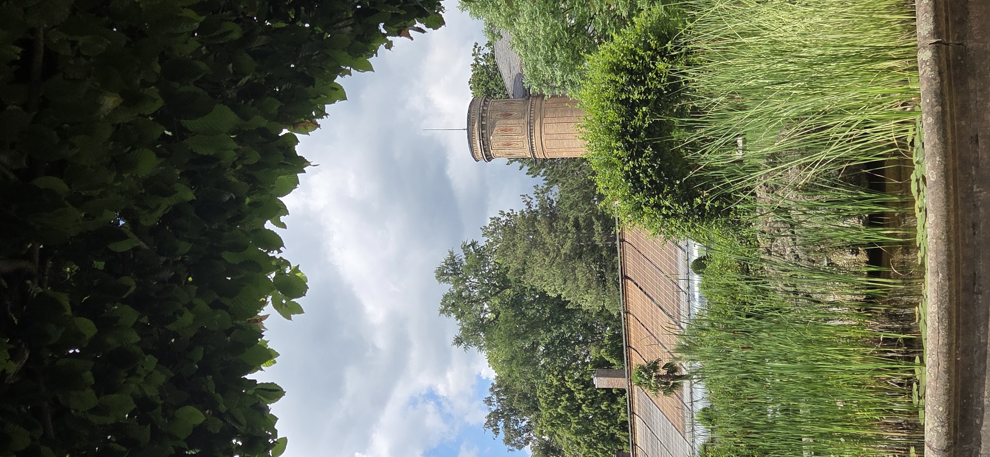 The image depicts a serene natural scene framed by the lush green foliage of trees in the foreground. In the mid-ground, a large greenhouse with a multi-paneled, angled roof is visible, partially obscured by dense green shrubbery. To the right of the greenhouse, a distinctive cylindrical brick tower stands tall, featuring decorative diamond-shaped insets and topped with a spire. The tower is set against a backdrop of a lush, green forest. In the foreground, a body of water with prominent reeds and lily pads occupies the lower portion of the frame, contained within a weathered stone border. The sky above is partly cloudy with white clouds against a blue expanse. This vista is located within the **Botanical Garden of Karlsruhe, Germany**, specifically showing a view towards the **Orangerie** and the adjacent **botanical tower**. No people or animals are present in the scene.
