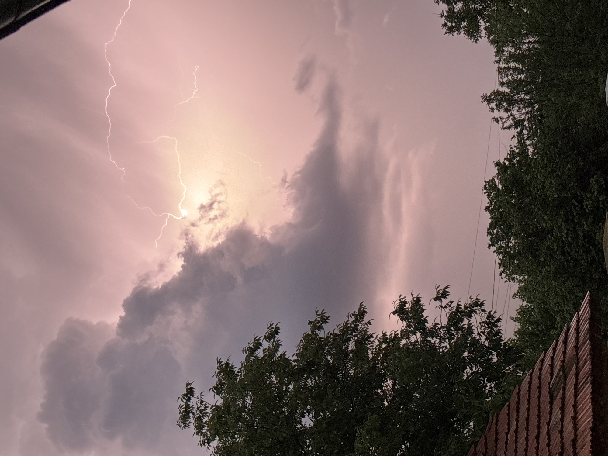 The image shows a lightning strike during what appears to be a thunderstorm in Pchelnik, Bulgaria. The sky is dominated by grey and pink-tinted clouds, with a distinct lightning bolt visible on the left side of the frame and a brighter point where it impacts. The perspective is from below, looking upward. Trees occupy the foreground, particularly along the bottom and right edge of the image. A small section of a brick wall is visible on the bottom right.