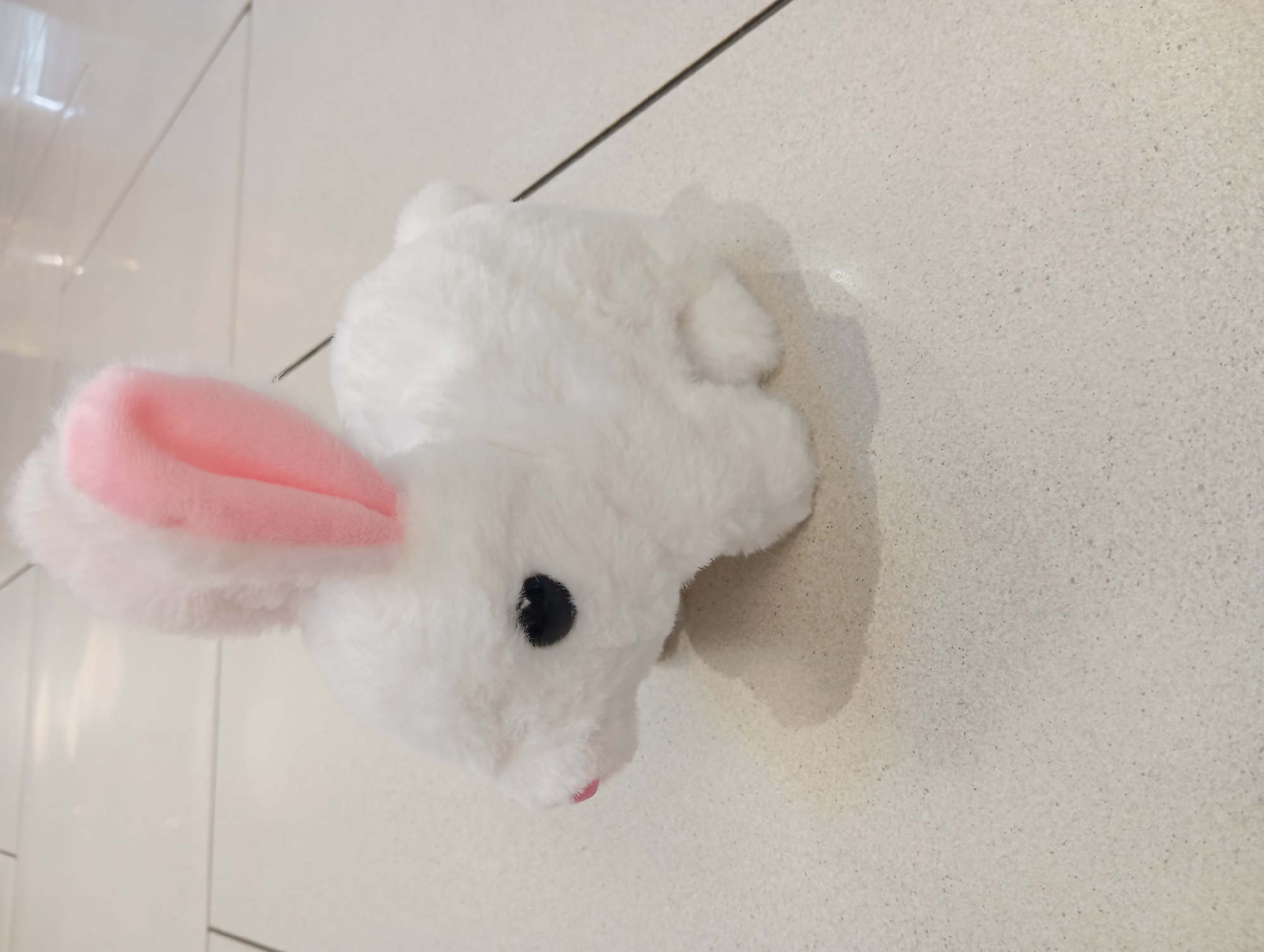 A close-up, high-angle shot features a white, plush toy rabbit with pink inner ears and black eyes. The rabbit is positioned on a light-colored, textured surface that appears to be a tiled floor. The surface has subtle speckling and grout lines are visible. The lighting suggests it is daytime, likely indoors, possibly in a home or retail environment. The scene is static, with no activity taking place other than the presentation of the toy. The focus is on the toy rabbit, with the background showing some blurred floor tiles and a faint shadow of the rabbit. No people, text, or specific weather conditions are discernible. The context indicates the location is Wołomin, Poland, but this is not visually evident from the image itself.