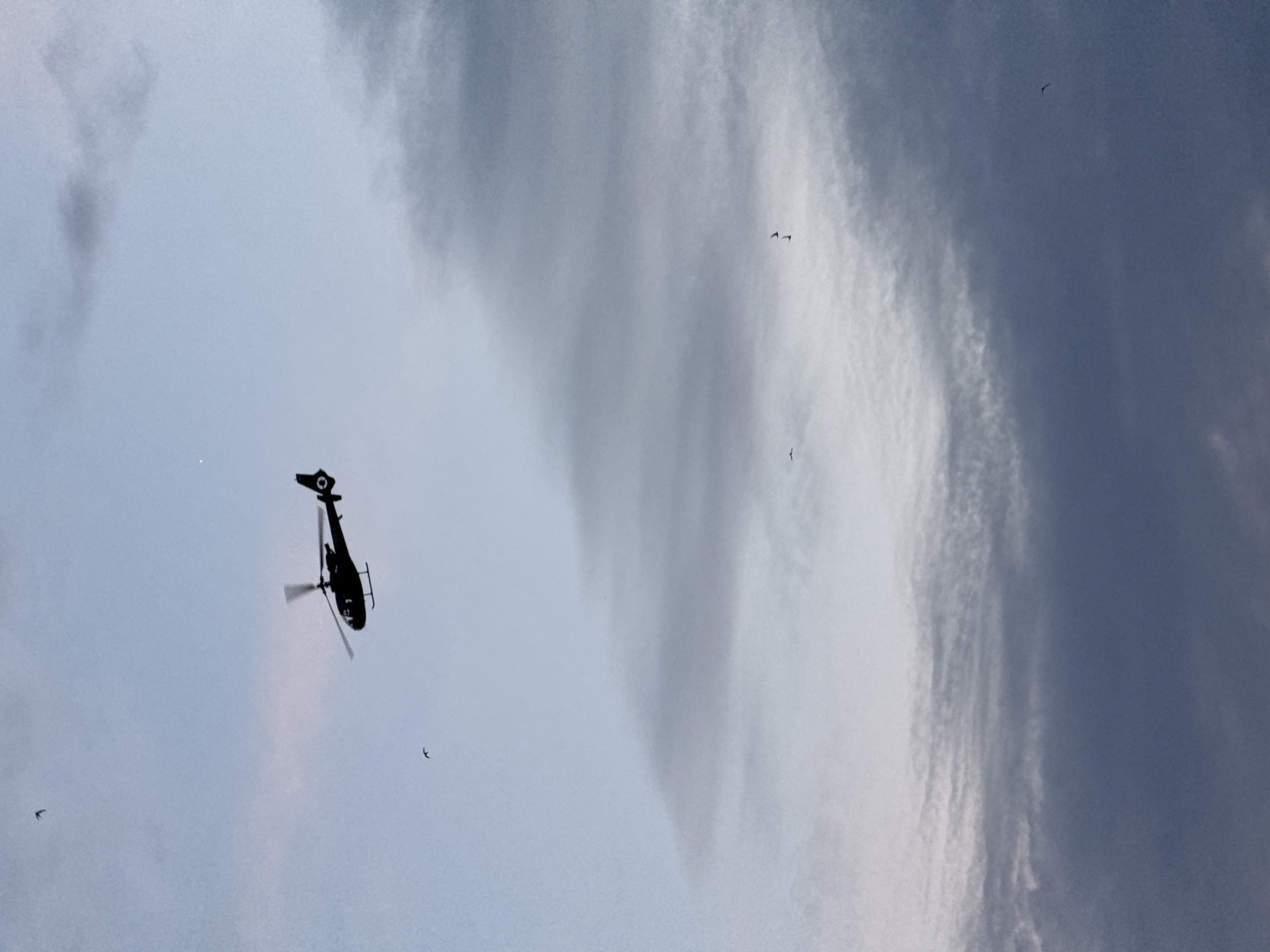 A black silhouette of a helicopter is seen in the upper portion of the frame, flying against a pale blue sky with scattered clouds. The helicopter is angled to the right and appears to be in motion, with its rotors blurred. Several small, dark silhouettes, resembling birds, are scattered across the sky, some near the helicopter and others in the distance. The lower portion of the image features darker, more defined clouds, creating a contrast with the lighter sky above. The scene is devoid of any identifiable landmarks or structures, making it impossible to determine a specific location within Sveti Stefan, Montenegro, or any other city.