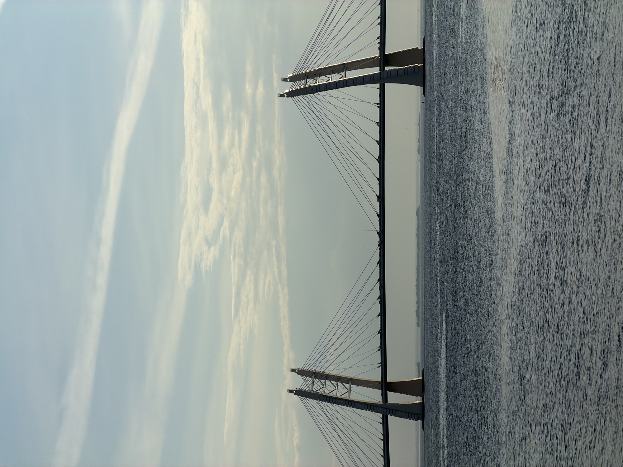 The media file presents a panoramic view of a modern cable-stayed bridge spanning across a wide body of water under an expansive sky. The image, though oriented vertically, captures a horizontal bridge structure.
The central subject is a large, contemporary cable-stayed bridge, characterized by two prominent, tall pylons that rise symmetrically. Numerous tension cables extend from the top of these pylons, fanning out to support the bridge deck, forming an elegant and robust structural silhouette. The bridge appears to be constructed from concrete and steel, showcasing clean architectural lines.
The lower portion of the scene is dominated by a vast expanse of water, likely a bay, with its surface displaying subtle ripples and texture. Hints of lighter areas on the water suggest reflections from the sky or variations in current. The upper part of the image features a bright, somewhat hazy sky, colored in soft tones of light blue and grey. Elongated, wispy clouds, possibly cirrus or contrails, streak across the sky, adding dynamic texture above the serene waters.
The lighting suggests either early morning or late afternoon, with a soft, diffused light bathing the entire scene, contributing to a tranquil and expansive atmosphere. There are no visible people or discernible activities taking place, emphasizing the monumental scale of the bridge and the natural environment. No visible text is present in the image.
Given the provided location context, this is a view of the Western High-Speed Diameter (WHSD) bridge in Saint Petersburg, Russia, crossing the Neva Bay.