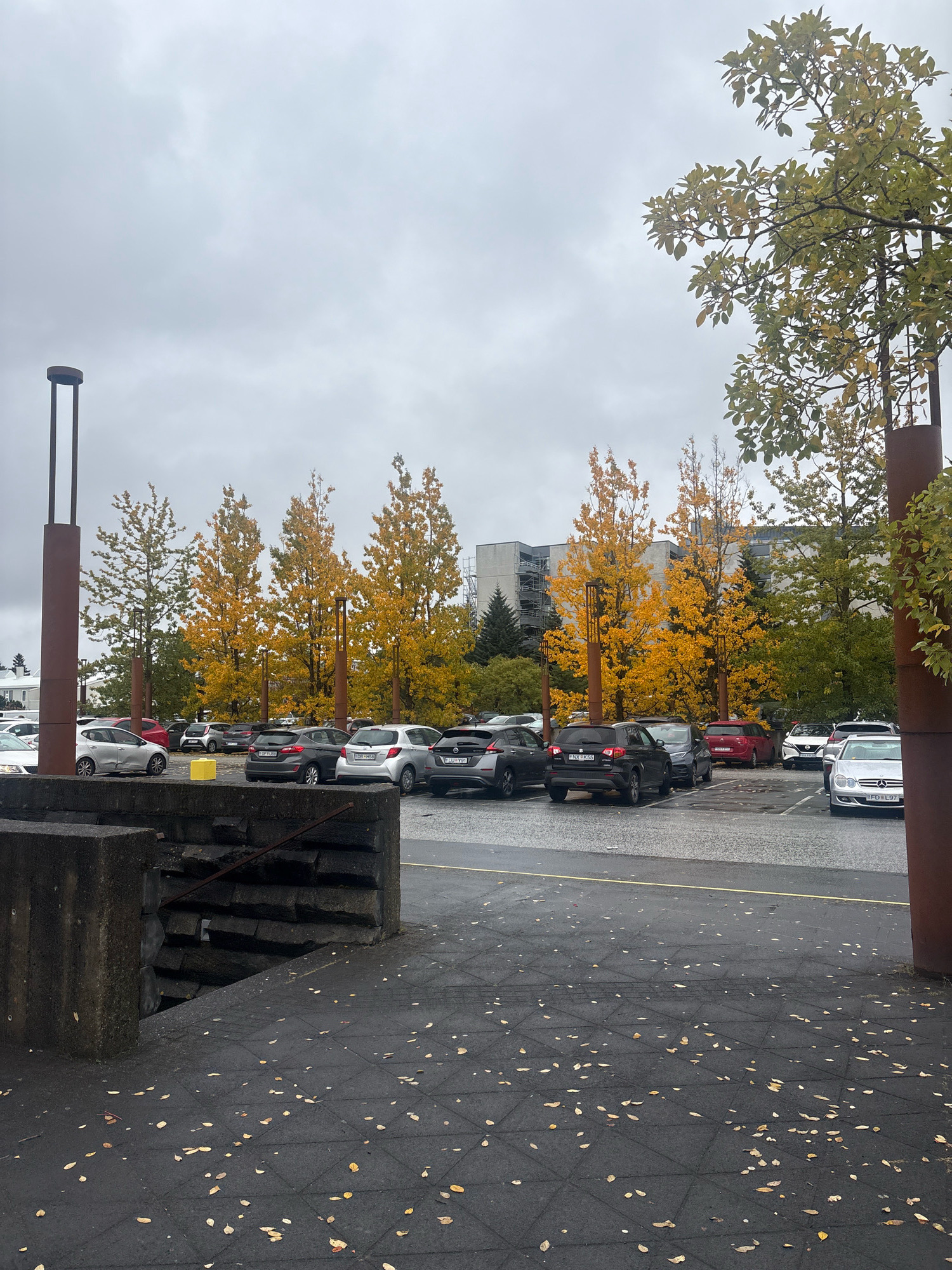 A street-level, eye-level, wide shot shows a parking lot with several cars parked. A building is visible in the background. Several trees with yellow and orange leaves are scattered throughout the parking lot. The sky is overcast and the ground is wet, suggesting it may have recently rained. A large concrete structure with steps is in the foreground on the left side of the image. The image appears to have been taken in Reykjavik, Iceland during the autumn season.