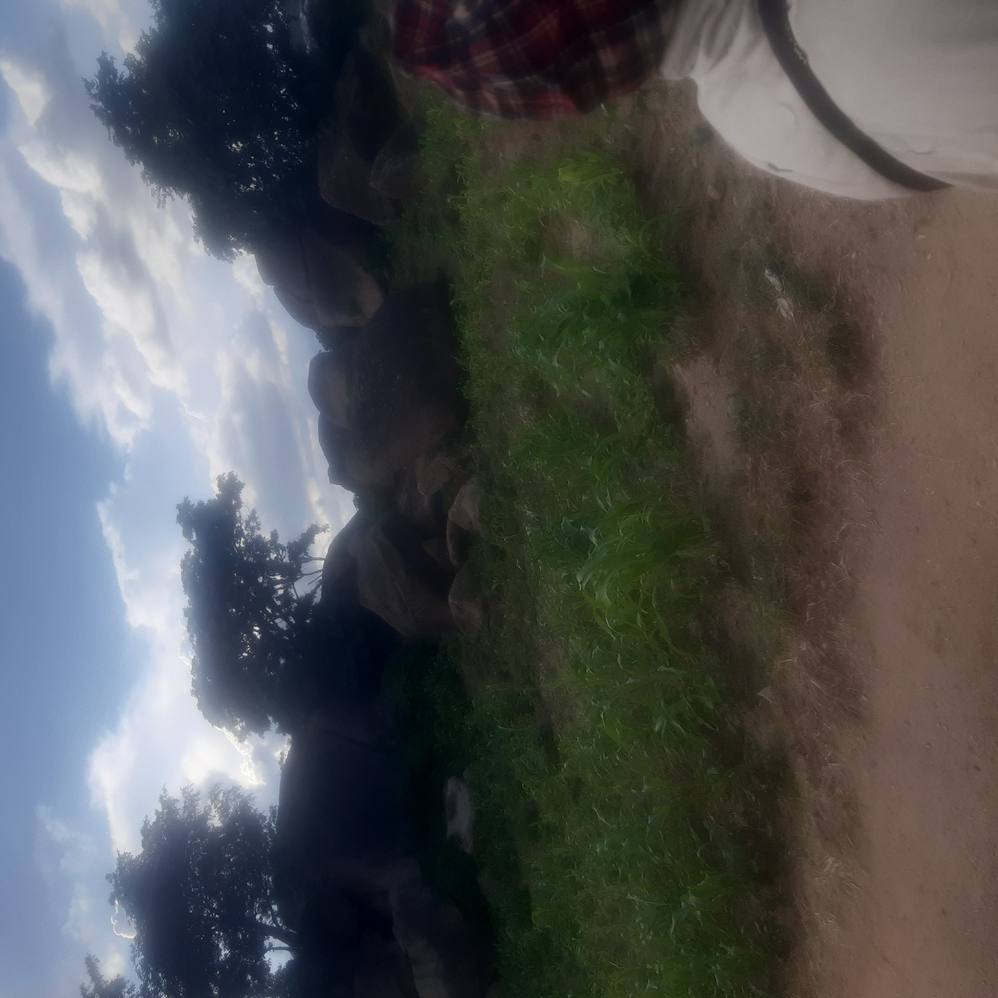 The image depicts a natural landscape with rocky formations and vegetation. In the foreground, a person's back is visible, wearing a white garment and a red and black checkered head covering. The background features large, dark rocks and lush green plants, possibly crops, scattered across a hillside. Above, the sky is partly cloudy with patches of blue. The scene appears to be in a rural or semi-rural area, consistent with the outskirts of Jos, Nigeria, where such geological formations and agricultural landscapes are common.