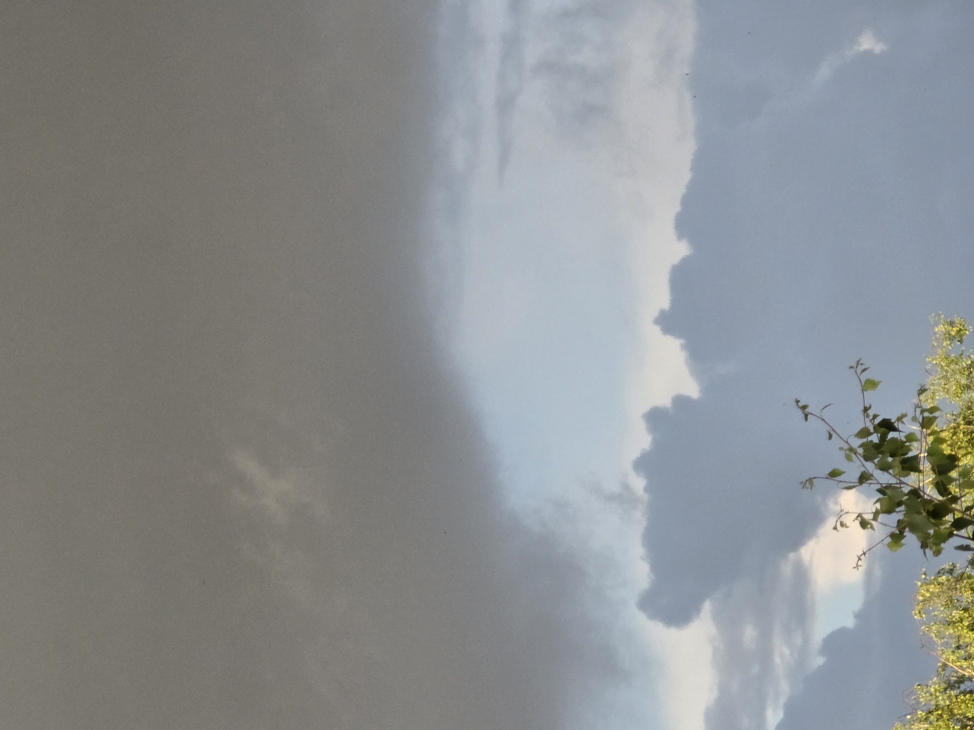 This is a photograph of the sky with clouds and some greenery from trees in the foreground. The sky is a mix of dark gray and lighter blue clouds, with hints of white and yellow where sunlight is breaking through. A few small, dark specks, possibly birds or insects, are visible in the sky. The greenery at the bottom of the frame consists of leaves and branches from trees, appearing lush and green with some lighter yellow-green highlights, suggesting daylight. The overall impression is of a cloudy or partly stormy day. No specific location within Chaikovsky, Russia, can be determined from the image itself.