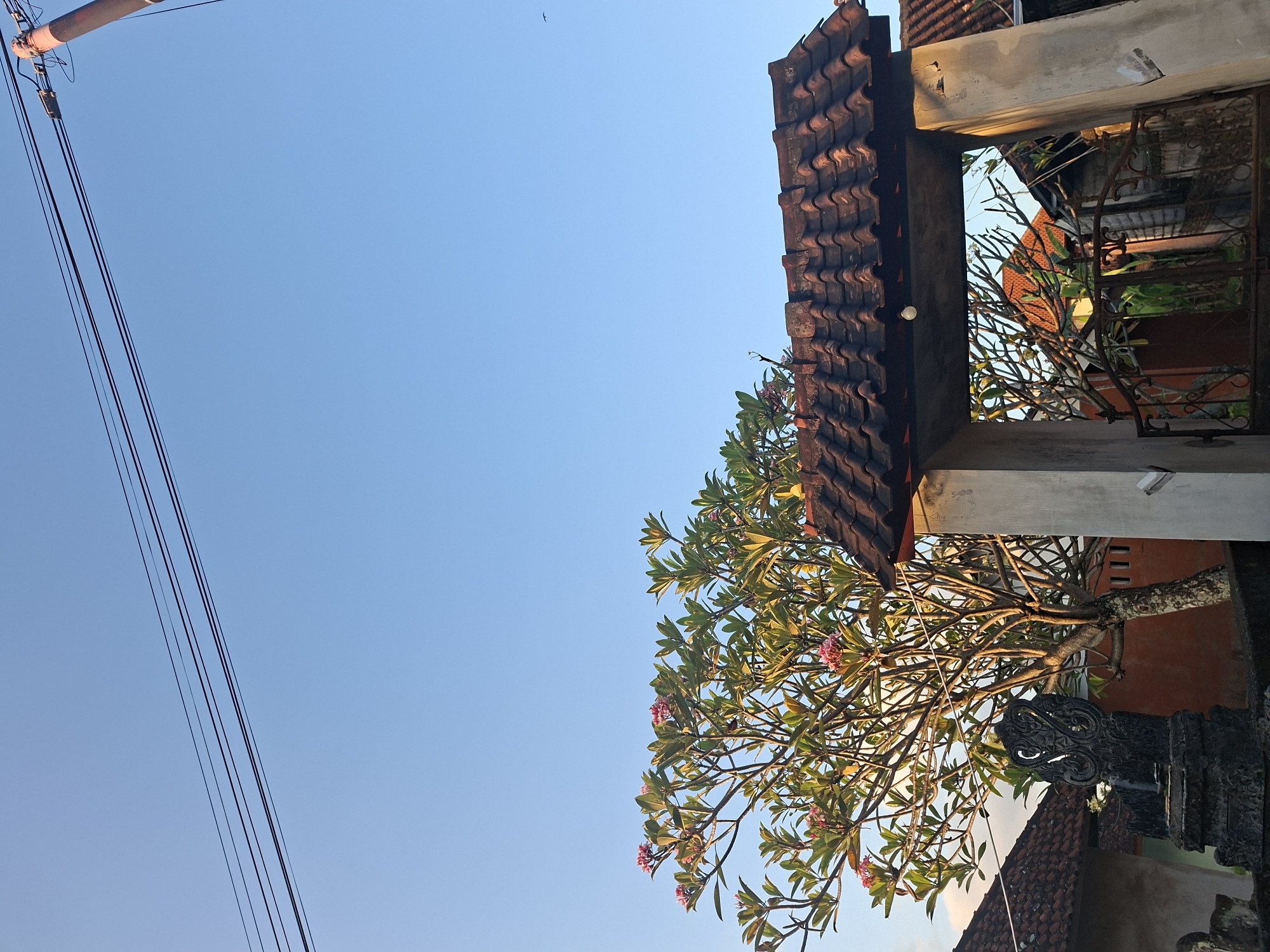 The image presents an upward-angled view of a clear blue sky, partially filled with elements of a street scene and traditional architecture. In the upper left quadrant, several black power lines or cables stretch diagonally across the sky, originating from a pole that is partially visible at the very top. The sky itself is bright and cloudless, dominating the left and upper parts of the frame.
On the right side, a substantial section of a dark reddish-brown tiled roof with distinctive wavy patterns is prominent. Below this roof, a large frangipani (Plumeria) tree is a central feature, adorned with lush green leaves and clusters of delicate pinkish-red flowers. Its branches are visible, becoming denser with foliage towards the outer parts and more bare closer to the trunk.
Further architectural details include a concrete beam or lintel above the frangipani tree, which appears to be part of an entrance gate or building structure. Through an opening framed by this structure and an ornate metal railing or gate, glimpses of another tiled roof and greenery can be seen in the background. A dark, intricately carved stone sculpture, possibly a decorative guardian figure or pillar base, is situated in the lower right corner.
The lighting suggests a time of day with warm, direct sunlight, likely late afternoon or early morning, illuminating the rooftops and the frangipani tree. There is no visible human activity. The architectural style and prominent frangipani tree are characteristic of the given location context of Blahbatuh, Indonesia. No text is visible in the media file.