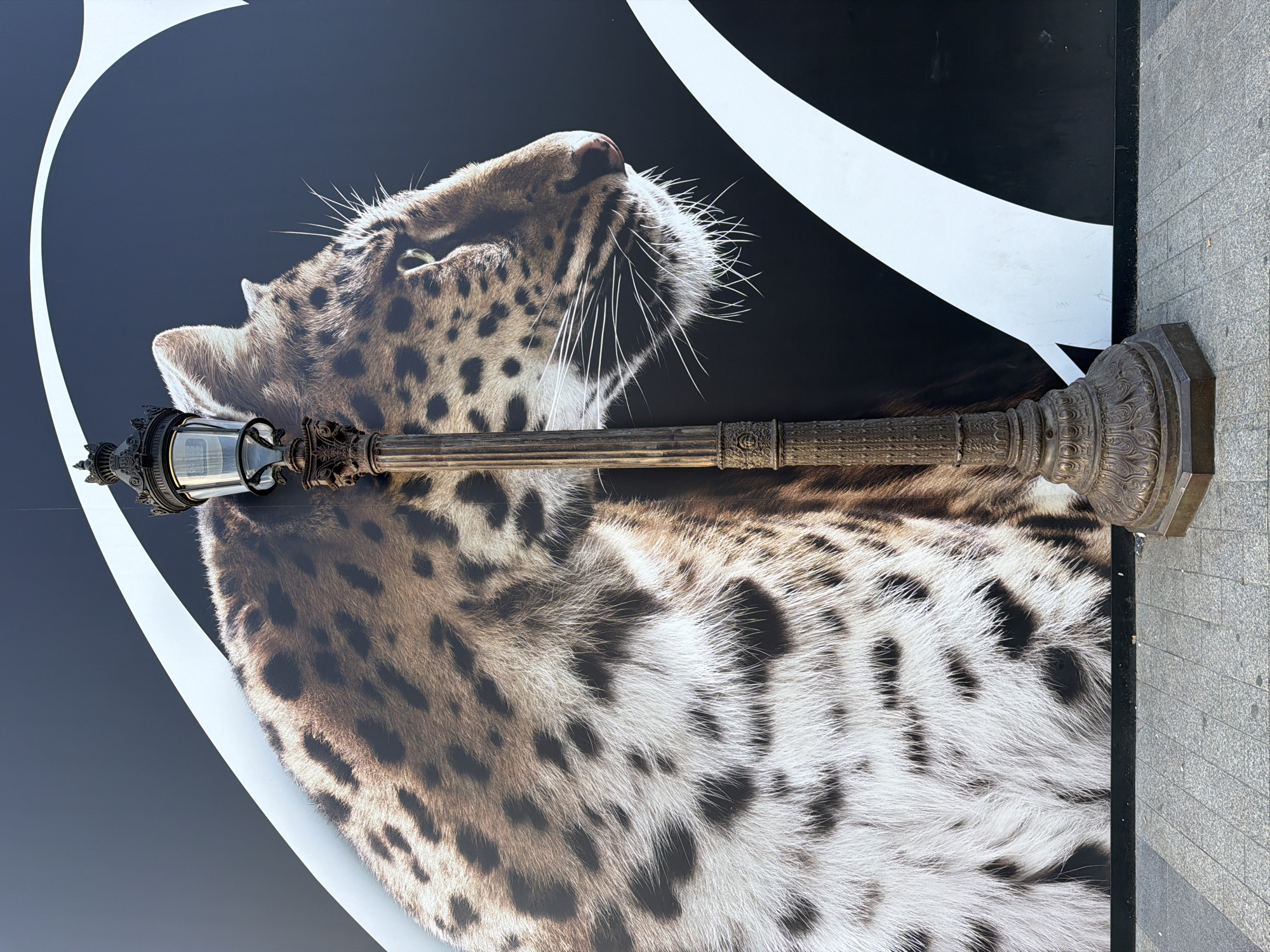 A low-angle, full outdoor shot depicts a Parisian lamppost lying horizontally across an ad featuring a black background bisected by a white crescent shape. The ad shows a close-up of a leopard's face, oriented to the left, with its white fur and black spots prominent. The light brown lamppost is old and weathered, and its base has a decorative square foot that sits on a gray stone sidewalk.