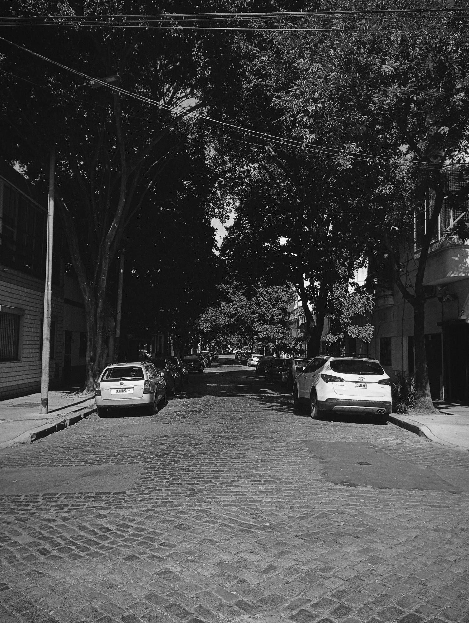 This black and white image depicts a street in Buenos Aires, Argentina, lined with trees and parked cars on either side of a cobblestone street. The buildings flanking the street are multi-story residential structures. Overhead, electrical wires traverse the scene. The light suggests it is daytime. There are no people in the photograph.