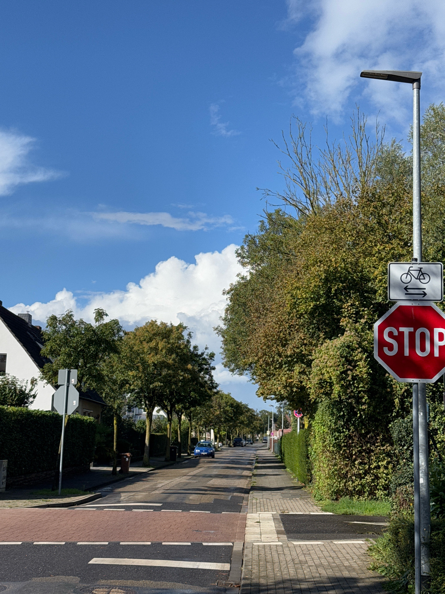 The image captures a street scene in Cleves, Germany, on a bright, partly cloudy day. The perspective is from a sidewalk looking down a residential street lined with trees. In the foreground, a crosswalk with red brick paving is visible. To the right, a metal pole holds two signs: a rectangular sign depicting a bicycle with arrows pointing in both directions, indicating a shared bike path, and a hexagonal red stop sign below it. The street itself is paved and has a blue car visible in the distance. Buildings and houses are partially visible on the left side of the street, separated by neatly trimmed hedges. The overall environment suggests a well-maintained urban or suburban setting.