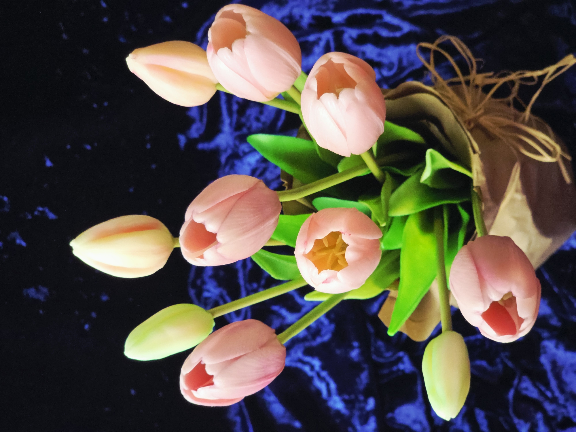 A bouquet of pink tulips is arranged in a paper wrap tied with twine, set against a dark blue textured background. Some of the tulips are in full bloom, while others are still buds. Green leaves are visible among the flower heads.