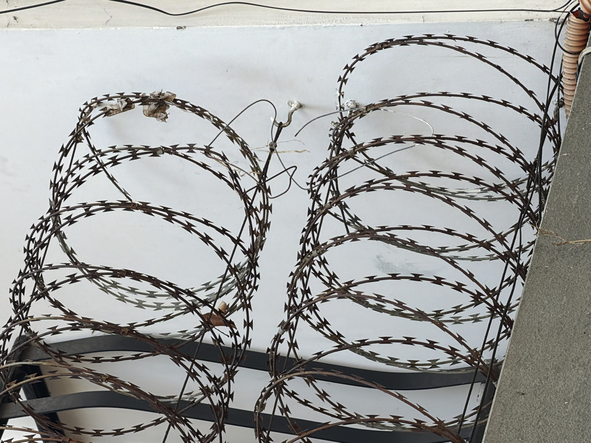 The image shows two rolls of rusted razor wire on top of a black metal structure, likely a fence or barrier, against a white wall. The setting appears to be outdoors, based on the presence of wiring overhead, and a partial view of concrete on the right. There is no evidence to indicate that the image was taken in Đà Nẵng, Vietnam. No people or interactions are visible in the frame.