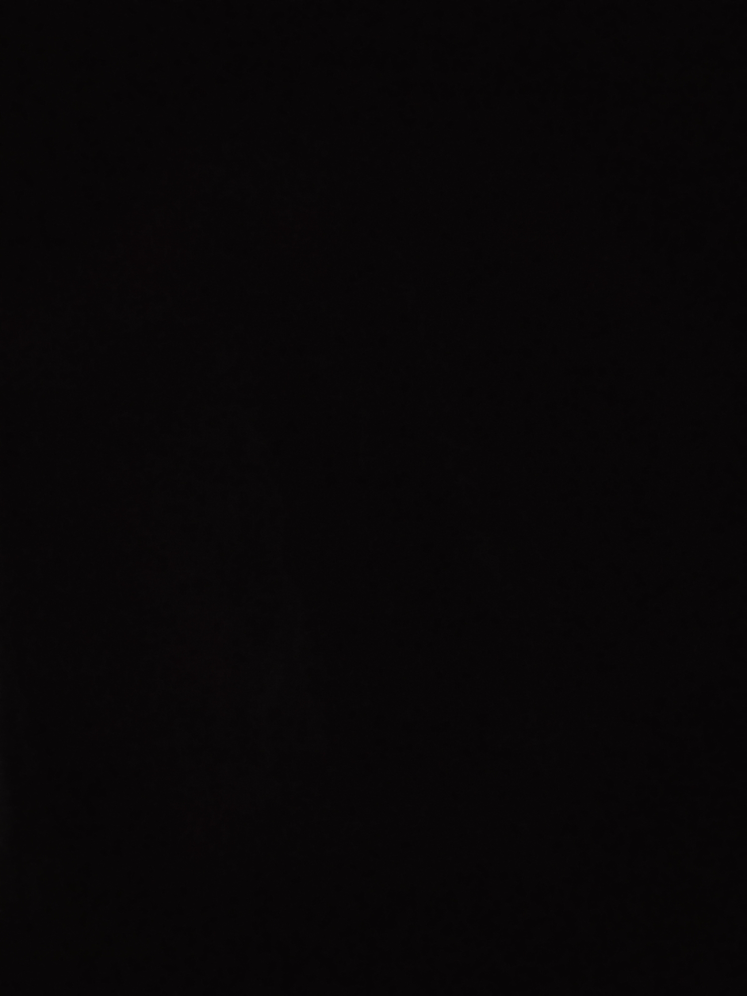 The image provided is entirely black. There is no discernible content within the frame, and therefore, no information can be extracted regarding the city of Mernek, Indonesia, or any specific details about people, subjects, objects, actions, interactions, or the environment.