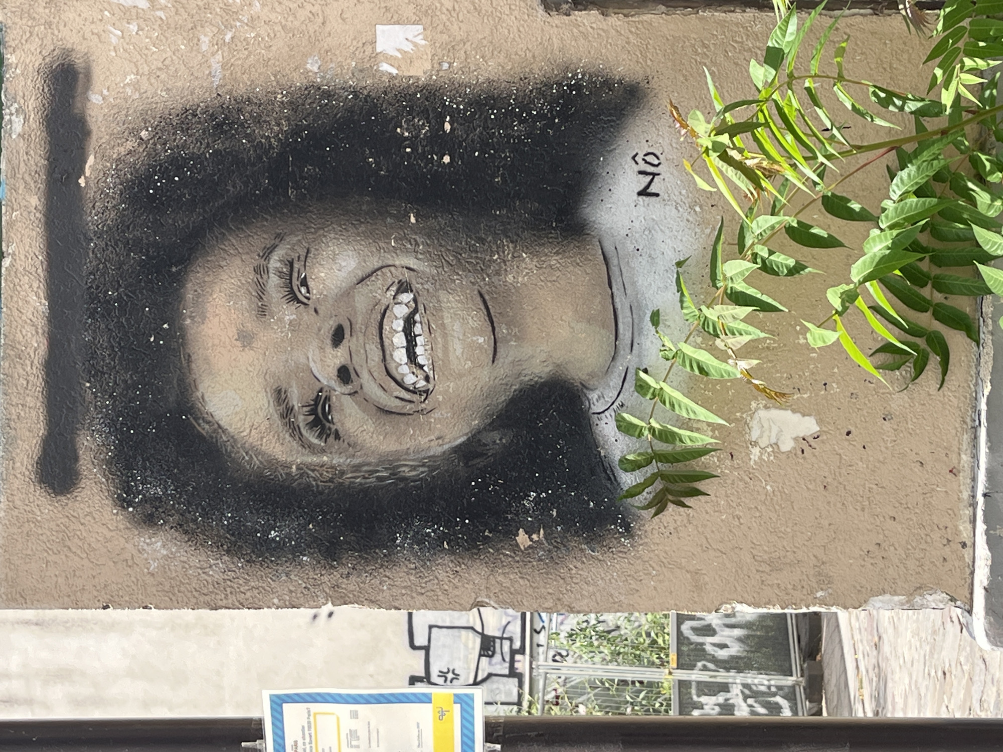 This is a medium shot, eye-level, portrait-style photograph of a mural painted on a textured, light brown concrete wall in Paris, France. The mural depicts the face of a young child, rendered in shades of gray and black with highlights, looking upwards with a wide, joyous smile. The child has dark, curly hair that frames their face, and their eyes are closed in laughter. Tiny white speckles are scattered throughout the mural, suggesting glitter or a similar decorative element. Below the child's face, the letters "NÔ" are visible in black paint, subtly integrated into the artwork. In the lower right of the frame, a leafy green plant with delicate branches partially obscures the mural and the wall. To the left of the mural, a portion of a blue and yellow informational sign is visible, attached to a dark pole. In the background, out of focus, are elements of an urban environment, including graffiti on a metal fence and paved ground. The lighting suggests it is daytime, with a slight dappled effect from the plant.