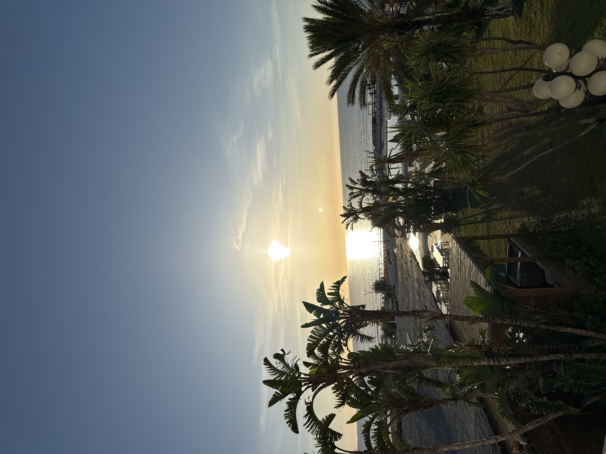 The image depicts a scenic view of the sea during sunset, framed by lush palm trees and tropical vegetation. The sun, a bright orb, is low on the horizon, casting a golden glow across the water and illuminating the sky with soft hues of orange and yellow. Wispy clouds drift across the azure sky, adding depth to the celestial expanse.
In the foreground, the vibrant green fronds of several palm trees stand out against the tranquil backdrop of the sea. Their silhouettes, along with other tropical plants, create a sense of a serene, resort-like environment. Beneath the trees, glimpses of thatched-roof structures and outdoor seating areas suggest a place of relaxation and leisure. A swimming pool, with lounge chairs arranged around it, is visible in the mid-ground, hinting at recreational activities. The overall atmosphere is one of peace and natural beauty, characteristic of a coastal destination. The location is identified as Isola delle Femmine, Italy, a place renowned for its picturesque coastline and Mediterranean charm.