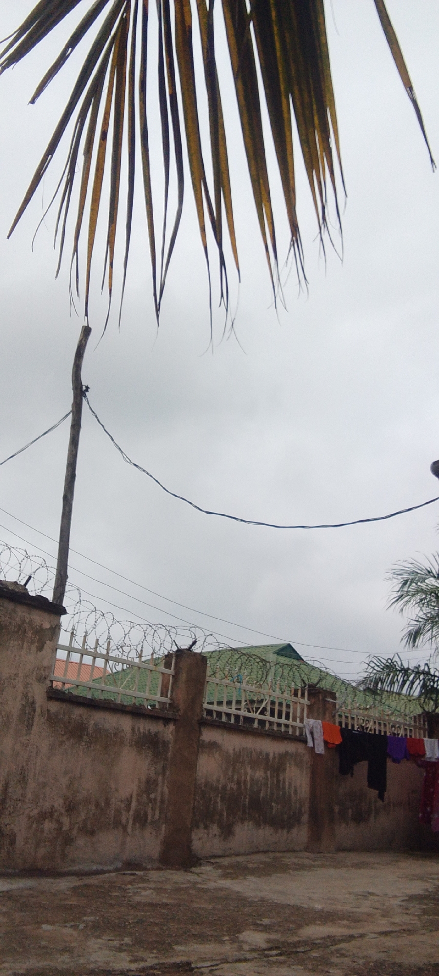 A weathered, light brown wall, topped with barbed wire, runs horizontally across the lower half of the frame. Beyond the wall, a white metal fence is visible, and behind that, the green, sloped roof of a building. Clothes are hanging on a line to the right, including orange, black, purple, and red items. A thin, dark wooden pole stands vertically in the left half of the frame, with wires extending from it across the scene. The upper portion of the image is dominated by the grey, overcast sky and the drooping, yellowed fronds of a palm tree. The ground in the foreground is a patchy, uneven surface of dirt and concrete.