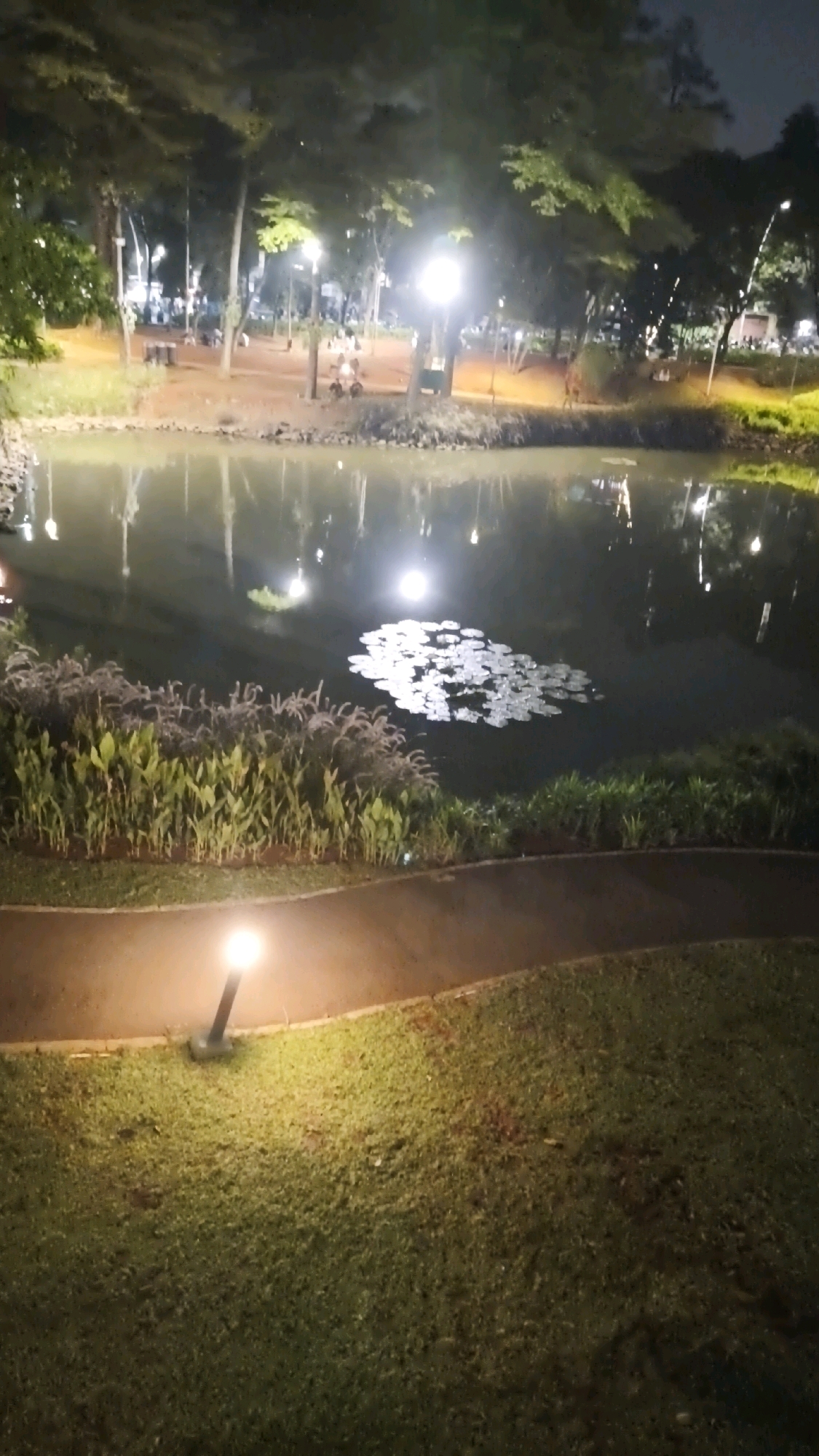 At night, a body of water, possibly a pond or small lake, is centrally located within a park. Lily pads are visible on the surface of the water, and the water reflects the surrounding lights and trees. The water is bordered by a path that curves through a grassy area. A single lamp post illuminates a section of the path and the adjacent grass. In the background, beyond the water, trees with visible lighting and several people can be seen. The scene appears to be set in a public park in South Jakarta, Indonesia.