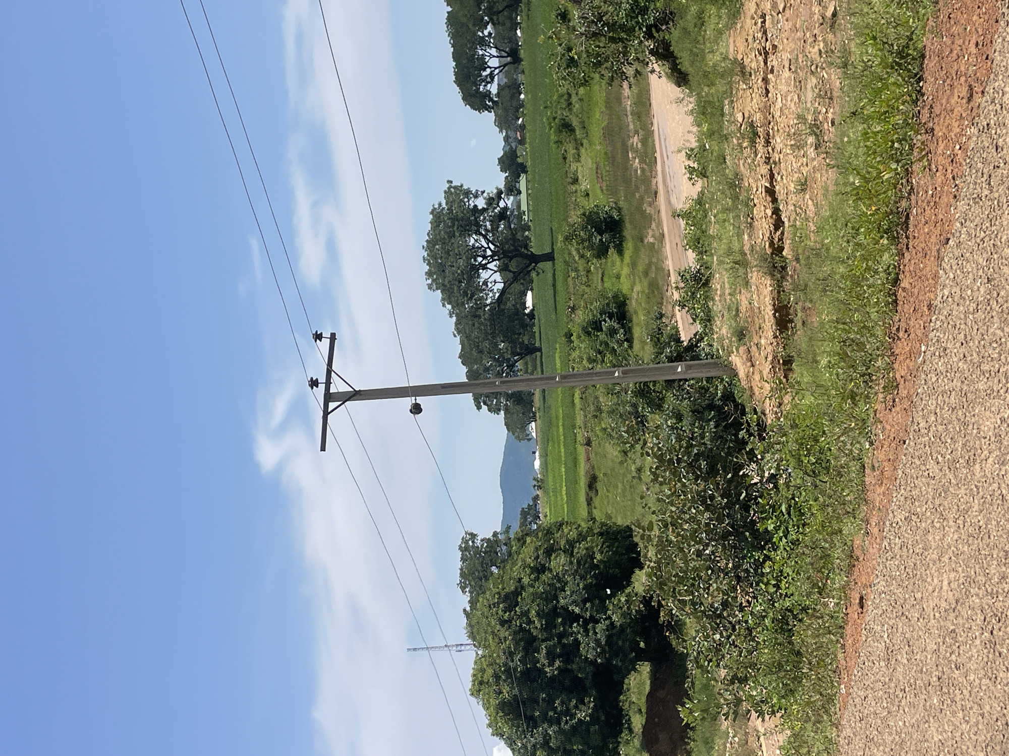 The image depicts a rural landscape under a bright blue sky with sparse, wispy clouds. In the foreground, a gravel and asphalt road curves towards the right. To the left of the road, a patch of rough, green vegetation grows. A wooden utility pole with wires stretches across the frame from right to left. Beyond the pole, a lush green field is dotted with several large, mature trees. In the distance, rolling hills are visible, and a tall, slender tower, possibly a telecommunications mast, stands on the left horizon. The scene is devoid of people. The setting suggests a location in a rural area of Nigeria, though a specific place within Zalau, Nigeria cannot be determined from the image alone.