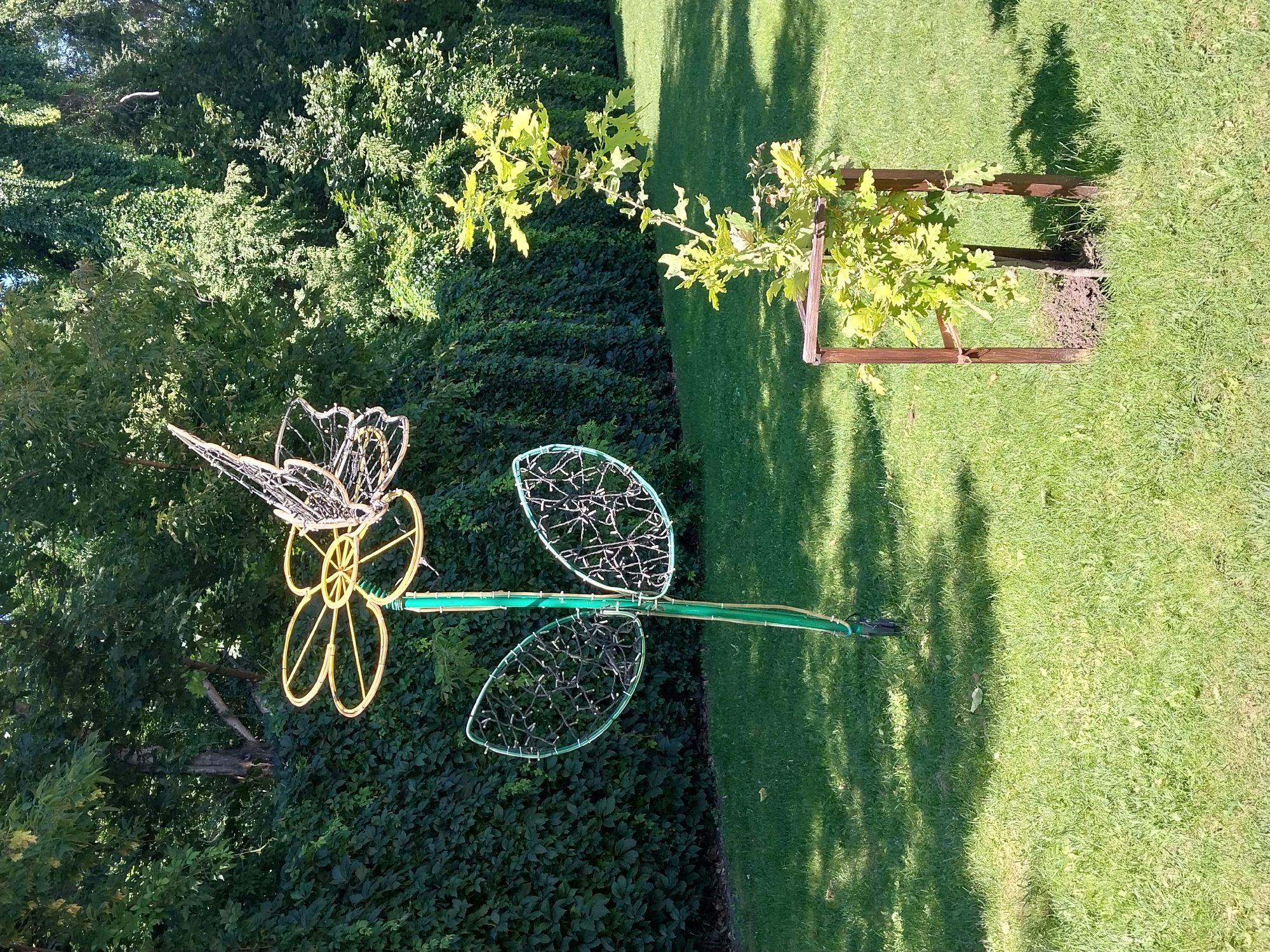 In the city of Dnipro, Ukraine, a sunny day illuminates a well-maintained park. The foreground features a lush green lawn, recently mowed, with dappled shadows cast by unseen trees. To the left, a whimsical, oversized garden art piece resembling a flower stands tall. The flower's center is a bright yellow hoop, and its petals are fashioned from intricate wireframes filled with tiny white lights. Two large, leaf-shaped structures, also outlined in wire and filled with lights, extend from the green pole supporting the flower.
To the right of the flower sculpture, a young oak sapling stands protected by a rustic, wooden frame. The sapling, with its vibrant green leaves, is planted in a small mound of dark soil. In the background, a dense wall of dark green ivy covers a fence or building, providing a verdant backdrop. Beyond the ivy, tall trees with thick foliage create a natural canopy, suggesting a peaceful, arboreal setting within the urban landscape. The overall scene conveys a sense of curated nature and artistic embellishment in an outdoor public space.