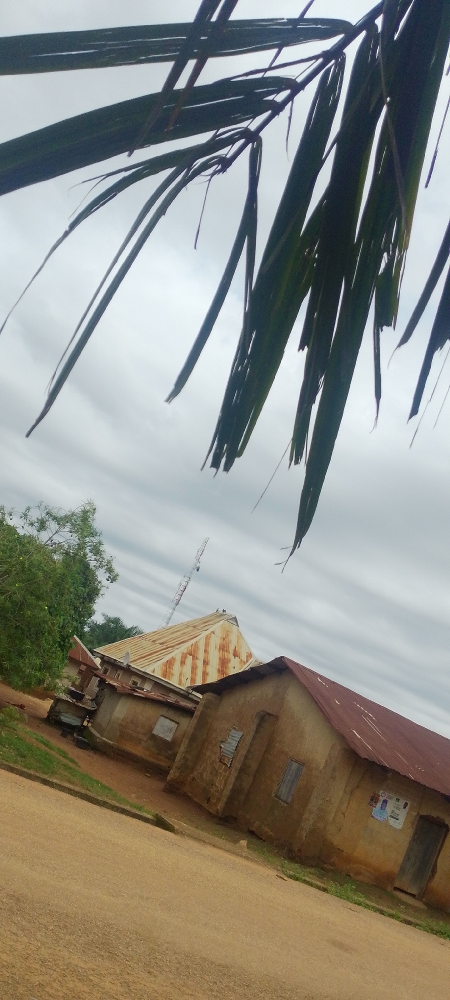 In Baissa, Nigeria, a cluster of mud-brick buildings with corrugated metal roofs stands under a cloudy sky. The roofs are weathered, with one showing significant rust. A tall, metal telecommunications tower rises in the background, visible above the buildings. Green foliage, including trees and grass, surrounds the structures, and a dirt road runs in the foreground. Palm fronds are visible in the upper portion of the image, suggesting the presence of palm trees in the area. A few posters are affixed to the exterior wall of one of the buildings.
