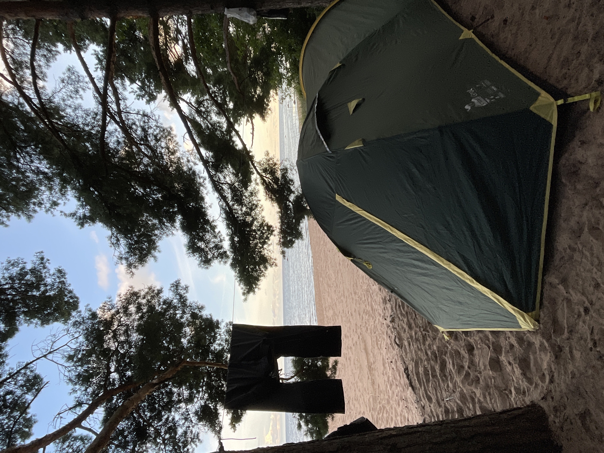 The image depicts a campsite on a sandy beach, likely near Zelenaya Roshcha, Russia, given the presence of pine trees and a body of water resembling a bay or lake. A dark green tent with yellow trim is set up on the sand, positioned to the right of the frame. In the foreground, a pair of black trousers are hanging on a clothesline strung between two pine trees. The trees themselves, with their dark green needles and rough bark, frame the scene. Beyond the tent and the beach, a calm body of water stretches to the horizon, with a soft, cloudy sky above, suggesting either early morning or late evening. The overall impression is one of a peaceful, natural setting for outdoor recreation.