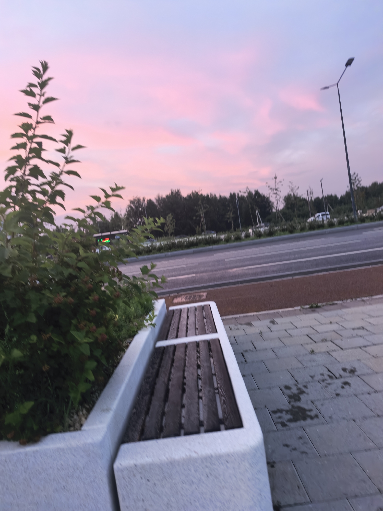 The image depicts a street scene at dusk, characterized by a vibrant pink and purple sky with scattered clouds. In the foreground, a modern concrete bench with wooden slats is positioned on a paved walkway. To the left of the bench, a lush green bush with dark foliage is planted. Beyond the bench, a two-lane road is visible with white lane markings. A light pole stands on the right side of the road, and a line of trees forms a backdrop. A white vehicle is parked on the far side of the road, and a Ferris wheel structure can be seen in the distance. The overall atmosphere is tranquil, with the soft lighting of twilight.