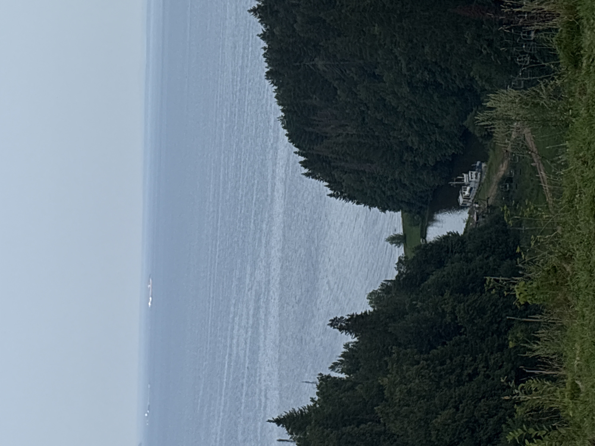 This image, taken from a high vantage point, overlooks a body of water, likely a lake or a wide river, with a hazy sky. In the distance, several ships are visible on the water. The foreground is dominated by lush green trees that line the edges of the water. A small cove or inlet is visible, where two boats are docked. The trees are densely packed, forming a thick forest that extends down to the water's edge. The overall scene suggests a natural, somewhat remote landscape. The location in Galevo, Russia is not visually discernible from the image itself.