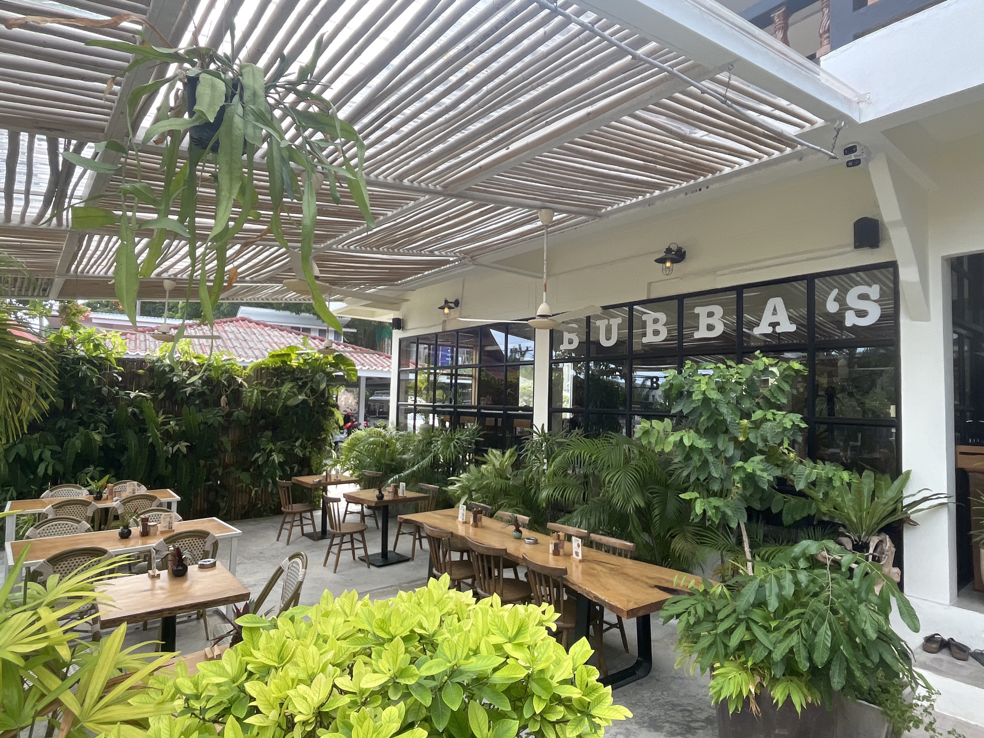The image shows the outdoor seating area of a restaurant named "BUBBAS" located in Koh Phangan, Thailand. The restaurant features an open-air design with a slatted wooden roof and exposed bamboo beams providing shade. Several tables and chairs are arranged in the seating area, some made of wood with cane-backed chairs, and others with simpler wooden chairs. The space is decorated with numerous potted plants, including a large hanging fern and a tall leafy tree in a dark planter. The building itself is light-colored with large windows that reveal the interior. The overall atmosphere is relaxed and tropical, typical of a restaurant in this island location. No people are visible in the image.