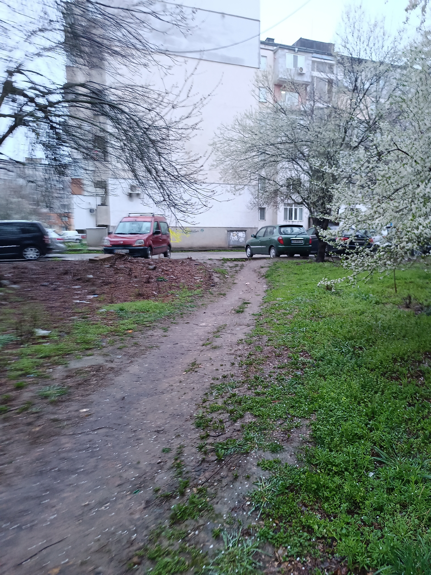 The image depicts a dirt path in Pleven, Bulgaria, framed by patches of grass. In the background, there are several parked cars, including a red Renault Kangoo, a dark-colored sedan, and a green hatchback, suggesting a residential area. The buildings are typical for residential neighborhoods in Pleven, and the flowering trees add to the spring atmosphere.