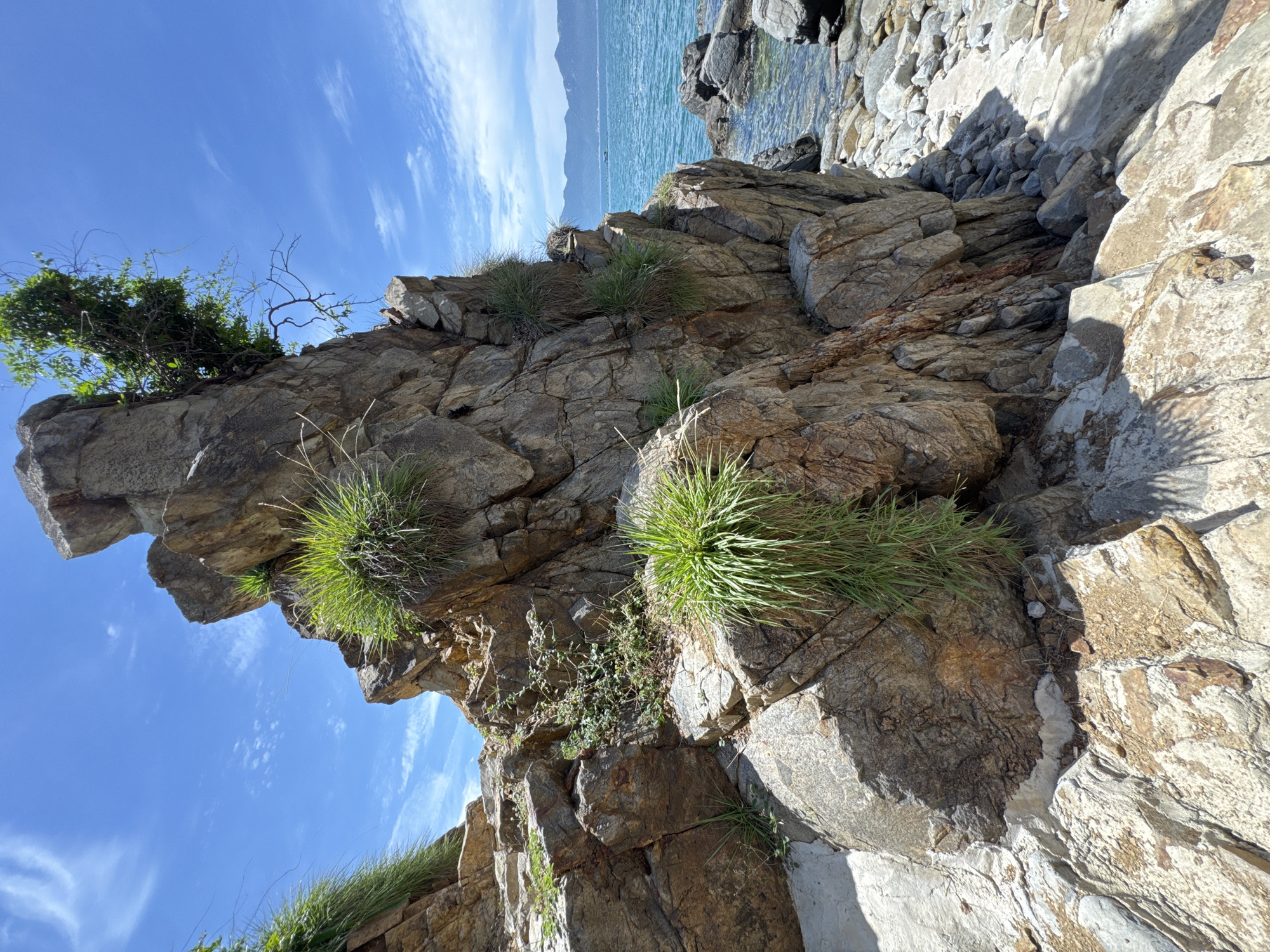 This is a photograph of a rocky coastline with lush green vegetation growing on the rocks. The sea is a clear turquoise color, and there are mountains in the distance. The sky is blue with a few white clouds. The scene is likely a natural landscape, possibly a park or protected area. The location is identified as Vĩnh Lương, Vietnam.