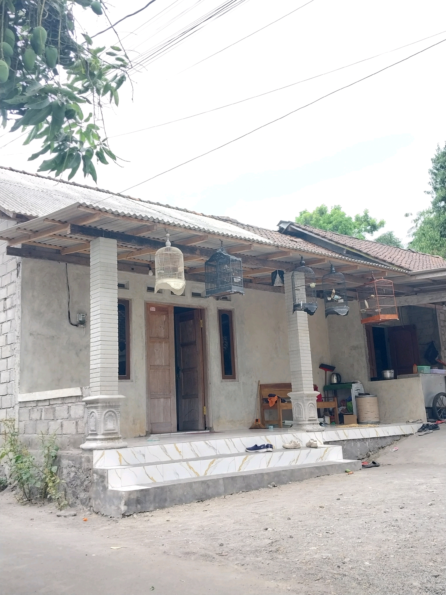 A front-facing, eye-level shot captures a simple house in Tijayan, Indonesia. The exterior wall of the house is a pale, unfinished concrete, with a lower section made of rough grey stones. A covered porch extends from the house, supported by two white, fluted columns. The roof of the porch is made of corrugated metal sheeting, supported by wooden beams. Several birdcages hang from the porch's roof. One cage is white and ornate, while others are black and made of wire mesh, some containing birds. Two wooden doors lead into the house, slightly ajar. In front of the house, a set of three steps with white tiles and gold-colored accents leads up to the porch. The area in front of the steps is a rough, dirt path. To the left of the house, a branch with unripe green mangoes hangs overhead, its leaves obscuring part of the sky and power lines. To the right of the house, there is more greenery and a glimpse of a wheeled cart. On the steps, a pair of blue sneakers and two light-colored sneakers are visible. Further down the path, various pairs of sandals are scattered. A wooden bench and a broom are placed on the porch. Electrical wiring and a meter box are visible on the left side of the house.