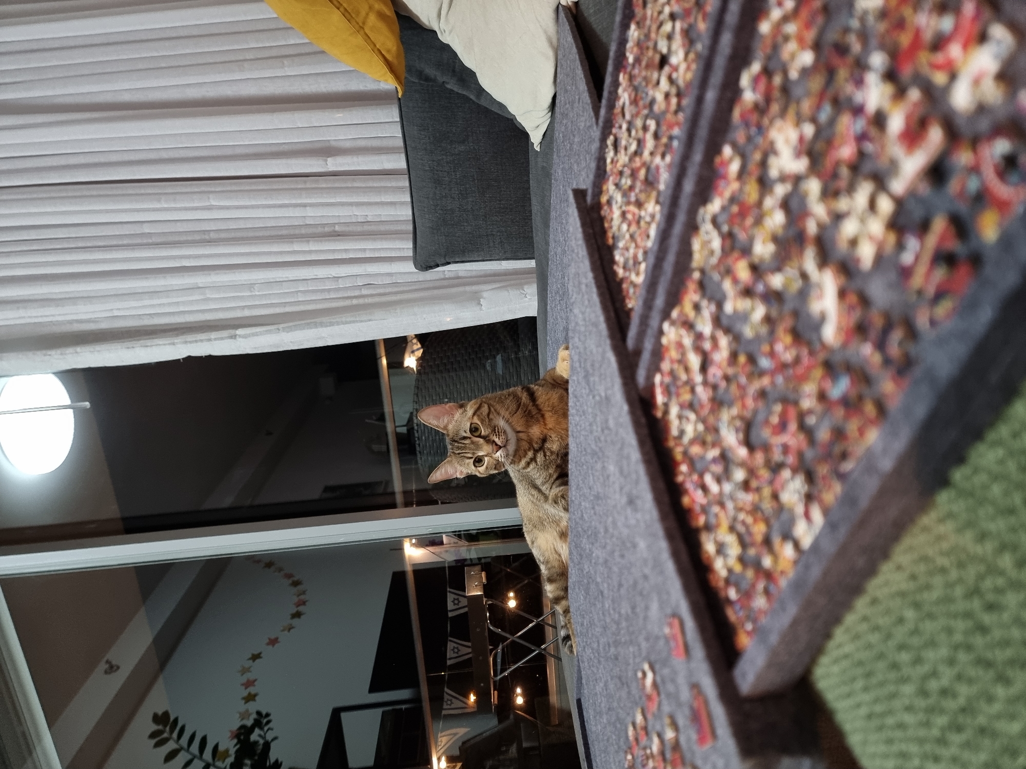 This image, taken in Ramat Gan, Israel, captures an indoor scene, likely in the evening or at night. A curious tabby cat, with brown and black striped and spotted fur, is peeking from behind a large, dark gray sofa or piece of furniture on the right side of the frame. Its head is tilted, and its wide, attentive eyes are focused directly on the viewer.
On the sofa, there are two cushions, one light beige and another yellow. In the foreground, spanning the lower portion of the image, are two gray boards covered with numerous small, brightly colored jigsaw puzzle pieces. Many pieces are interlocked, suggesting an active or recently completed puzzle. Behind these boards, a green textured surface, possibly a rug or blanket, is visible.
To the left, a white pleated blind covers the upper section of a large glass door or window. Below the blind, the glass reflects the interior room, revealing decorative stars on a wall and a plant. The reflections also show elements outside, including artificial lights and what appears to be a string of lights or decoration featuring symbols resembling Stars of David, consistent with the provided location context. A bright, round white light fixture is also reflected in the glass. The exterior view is dark, confirming the nighttime setting.
No people or visible text are present. The scene conveys a sense of domestic tranquility with the cat observing its surroundings.