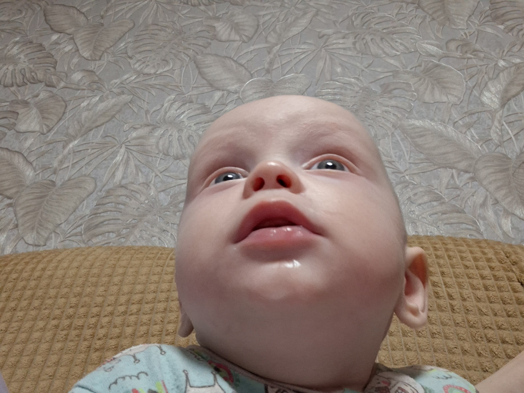 The image presents a close-up, low-angle perspective of a baby, capturing their head and upper torso. The baby has fair skin, light-colored eyes (appearing blue or grey), and a bald or nearly bald head, suggesting a very young age. A small amount of drool is visible on the baby's chin, dripping from a slightly open mouth. The baby's gaze is directed upwards, indicating curiosity or engagement with something above the camera's viewpoint.
The baby is wearing a light-colored garment, possibly a onesie or shirt, with a faint, colorful, patterned design visible on the left shoulder and chest area. They appear to be resting or reclining on a textured fabric surface, which occupies the midground and lower portion of the image. This fabric, likely a couch or chair cushion, is a warm brown or tan color and features a distinct, repeating square or waffle-like pattern.
In the background, a wall is covered with textured wallpaper. The wallpaper displays a pattern of large, stylized tropical leaves, such as monstera and palm fronds, rendered in a light, neutral hue like beige, off-white, or light grey. The lighting appears soft and diffused, suggesting an indoor daytime setting. There is no discernible text within the image. The baby's expression is one of calm curiosity.