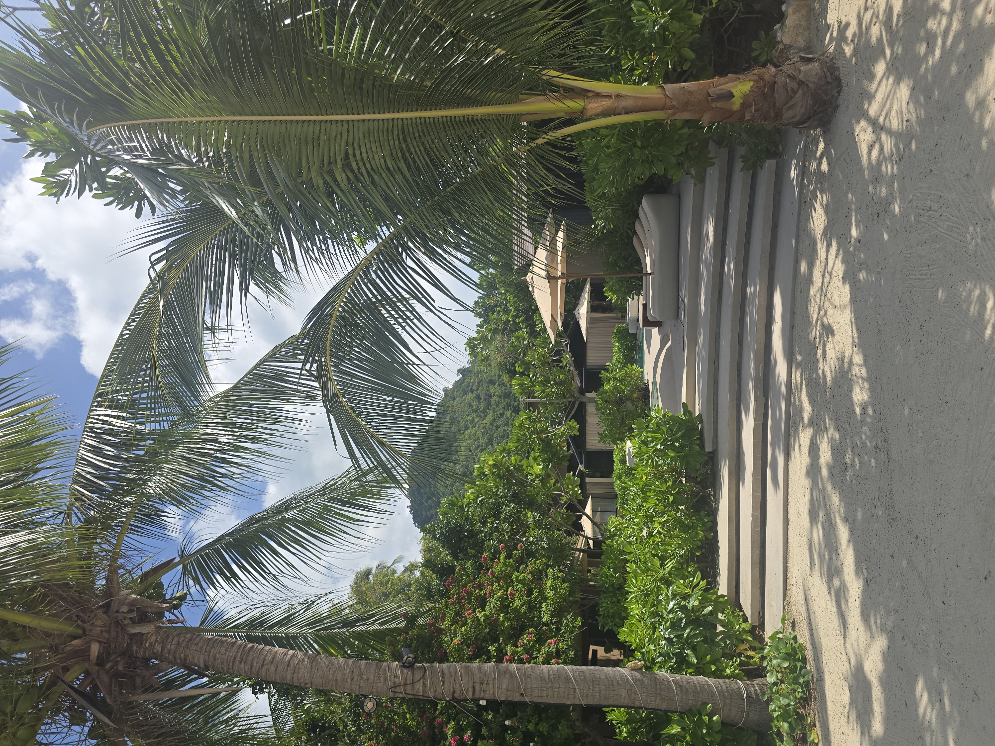 A perspective shot of a tropical resort entrance in Baan Chaweng Noi, Thailand. The foreground is dominated by a sandy pathway, with dappled sunlight filtering through palm fronds. To the left, a mature palm tree stands tall, its trunk wrapped in decorative white rope. The pathway leads to a series of wide, concrete steps ascending towards a lush garden. Beyond the steps, lounge chairs and beige umbrellas are visible next to a pool area, and in the background, a cluster of dark-roofed bungalows are nestled amongst dense green foliage. A verdant, tree-covered mountain slopes upwards in the distance under a bright blue sky with scattered white clouds.