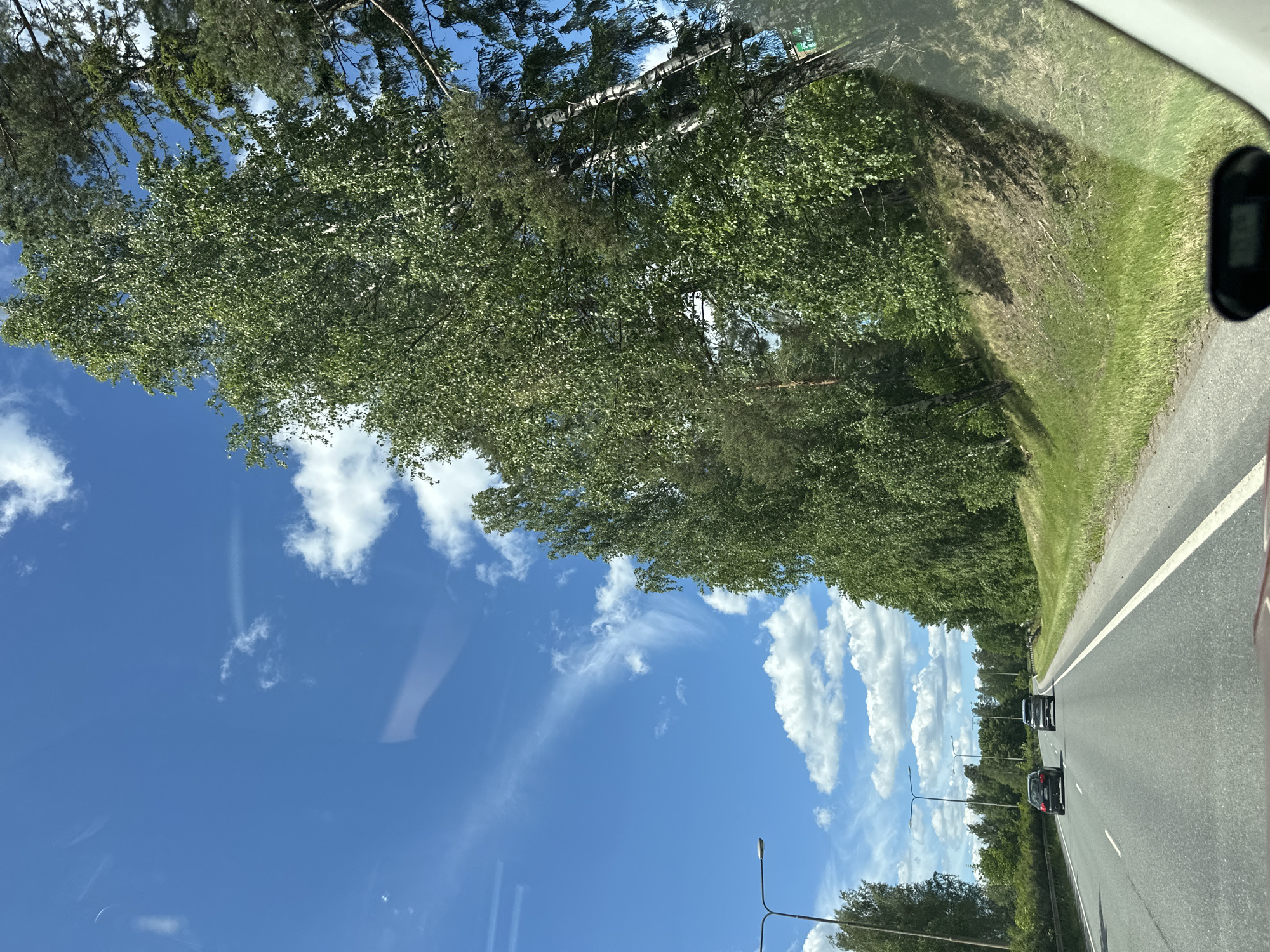 The image shows a view from a car driving on a highway in a wooded area. The sky is blue with scattered white clouds. There are trees on both sides of the road, with a particularly tall birch tree on the right. Two cars are visible in front of the car from which the photo is taken. The road has two lanes in each direction, separated by a solid white line. There are streetlights along the side of the road. The environment appears to be a rural or suburban area, with no buildings or signs of a city visible. The lighting suggests it is daytime.