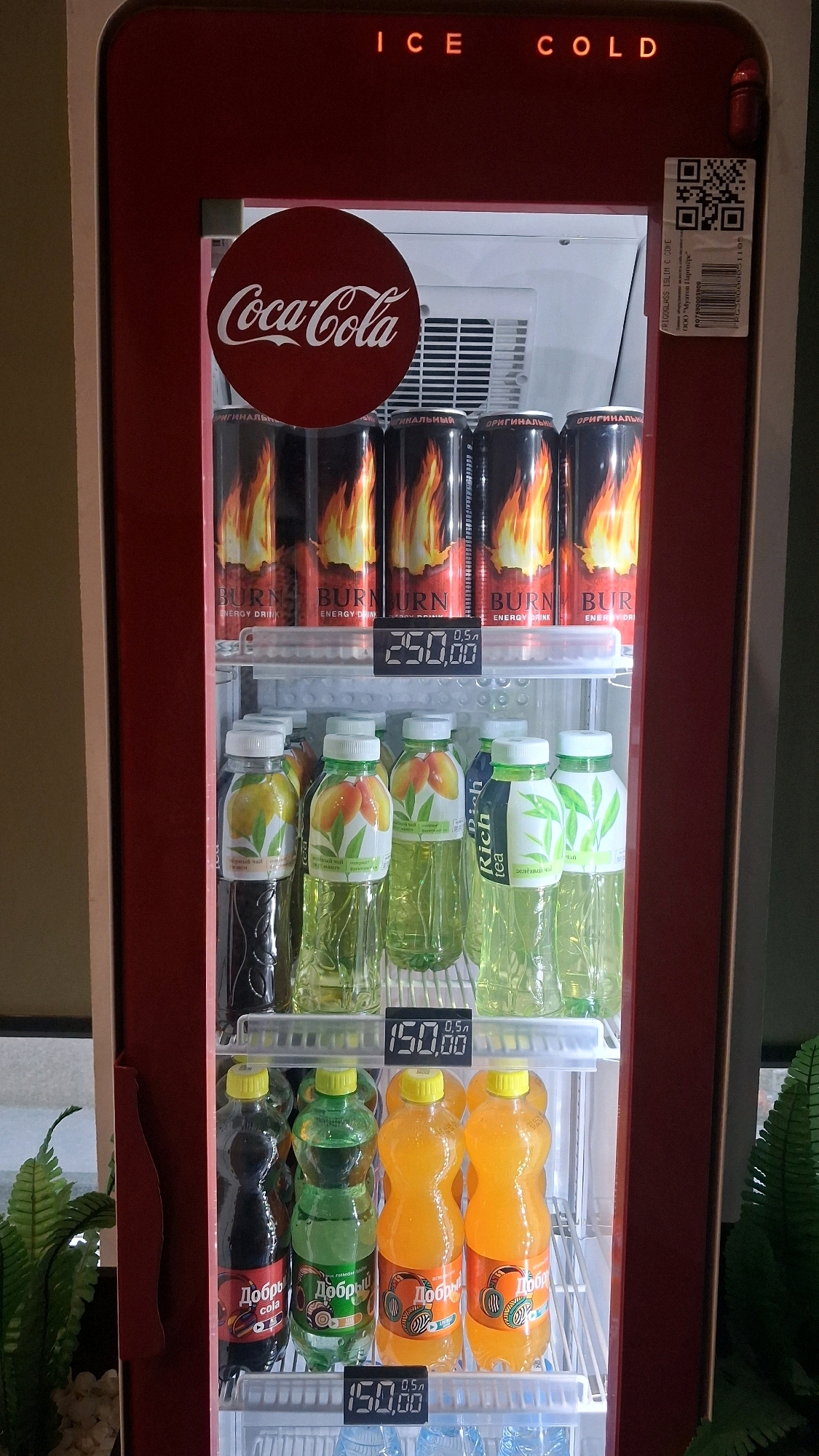 This is a full shot of a red Coca-Cola branded vending machine located inside a building. The machine is filled with various beverages, including cans of "BURN ENERGY DRINK" with a flame design and bottles of fruit-flavored drinks and teas. There are price tags visible on the shelves, indicating prices such as 250.00 and 150.00. The word "ICE COLD" is illuminated in red letters above the top shelf. The vending machine is situated in a well-lit indoor environment, possibly a store or public space, with a hint of green foliage visible on the left and right sides of the frame, suggesting the presence of plants. The location is specified as Novosibirsk, Russia.