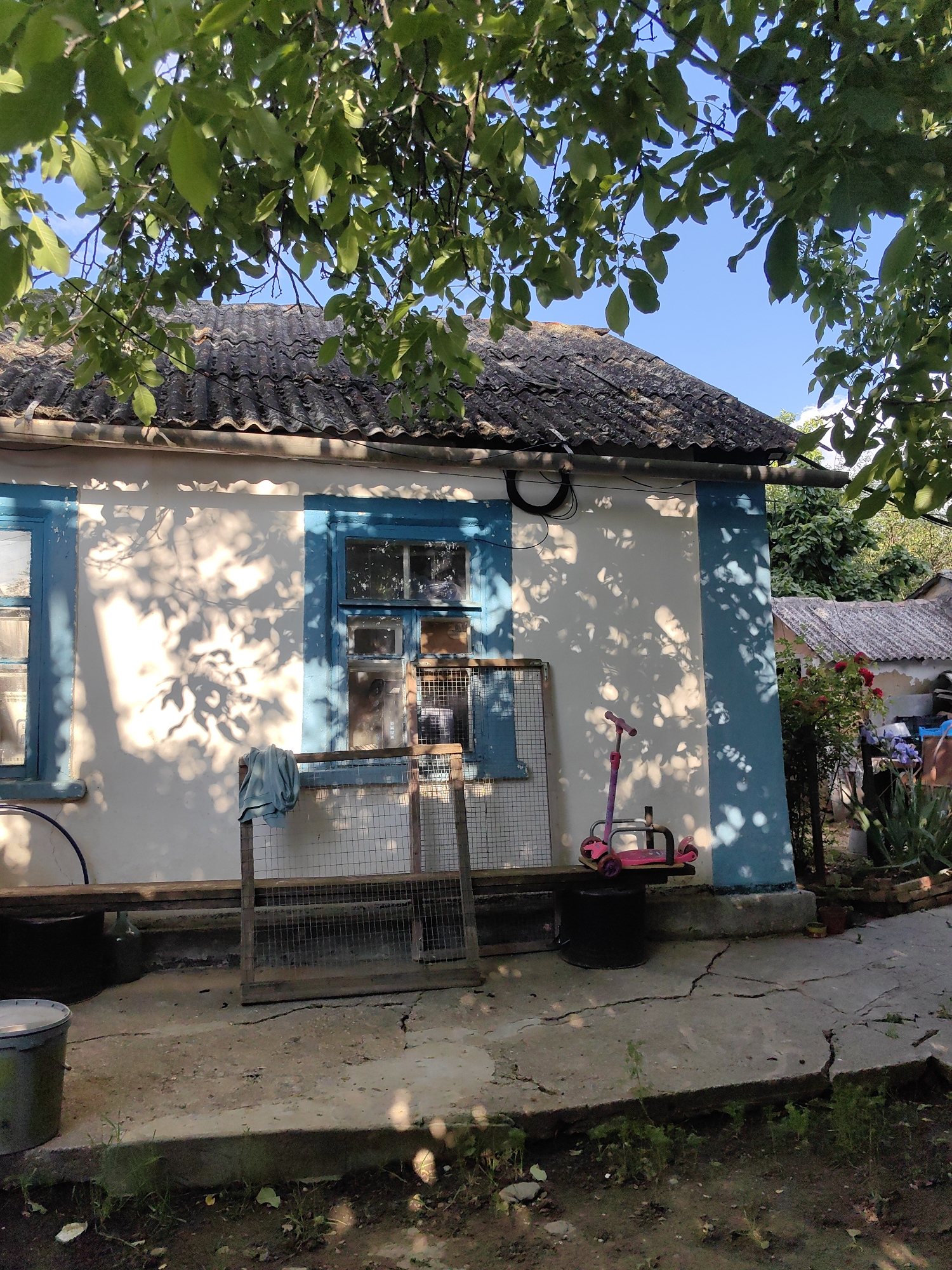 The image depicts the exterior of a single-story house, likely in a rural or semi-rural setting within the Зуйское сельское поселение, Ukraine. The house has a white facade with light blue trim around the windows and a section of the wall. The roof is covered with dark, corrugated roofing material. Sunlight casts dappled shadows from overhead tree leaves onto the side of the house and the concrete ground in front.
In front of the house, there is a wooden bench or ledge running along the wall. On this ledge, a light blue cloth is draped over a wire cage-like structure. To the right of this cage, a pink child's scooter is positioned on top of a dark, cylindrical object. Further to the right, a rose bush with red flowers and some green plants are visible. The ground in front of the house is a cracked concrete patio area, with dirt and some sparse vegetation in the foreground. To the left of the frame, a large grey bucket is partially visible. The overall impression is one of a lived-in, somewhat unkempt outdoor space adjacent to a dwelling.