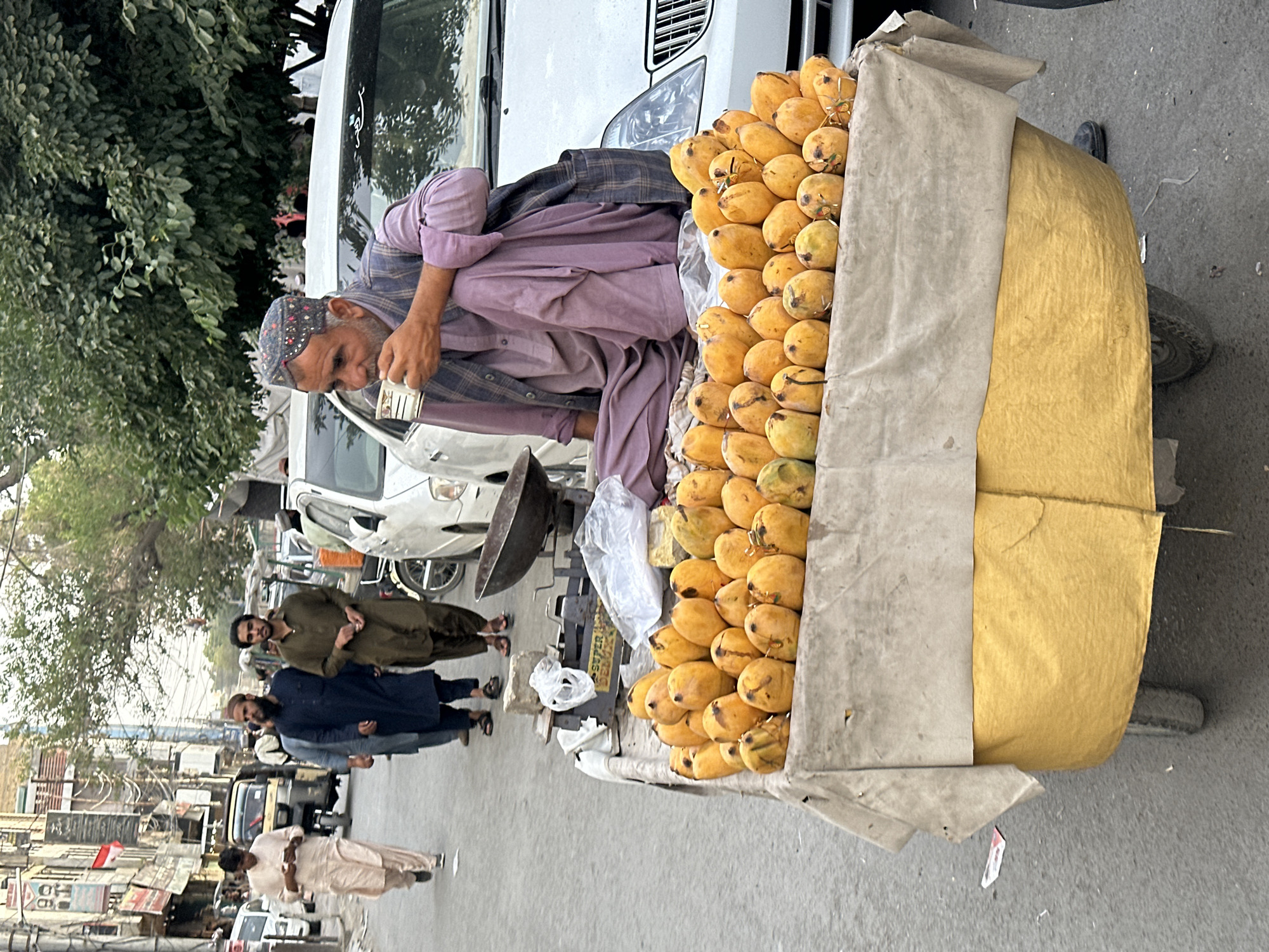 An outdoor, daylit scene shows a street in Quetta City Tehsil, Pakistan, with a vendor tending to a cart piled high with mangoes. The vendor, an older man with a patterned cap, sits adjacent to the mangoes, seemingly handling money. He is dressed in a light purple, button-down shirt with a dark, plaid garment draped over his shoulder. The mangoes, yellow-orange in color, are densely packed. The cart is covered with a tan fabric. In the background, several men are walking along the street. They are dressed in traditional Pakistani clothing. A line of vehicles is parked, with some white cars visible. Trees and buildings line the street.