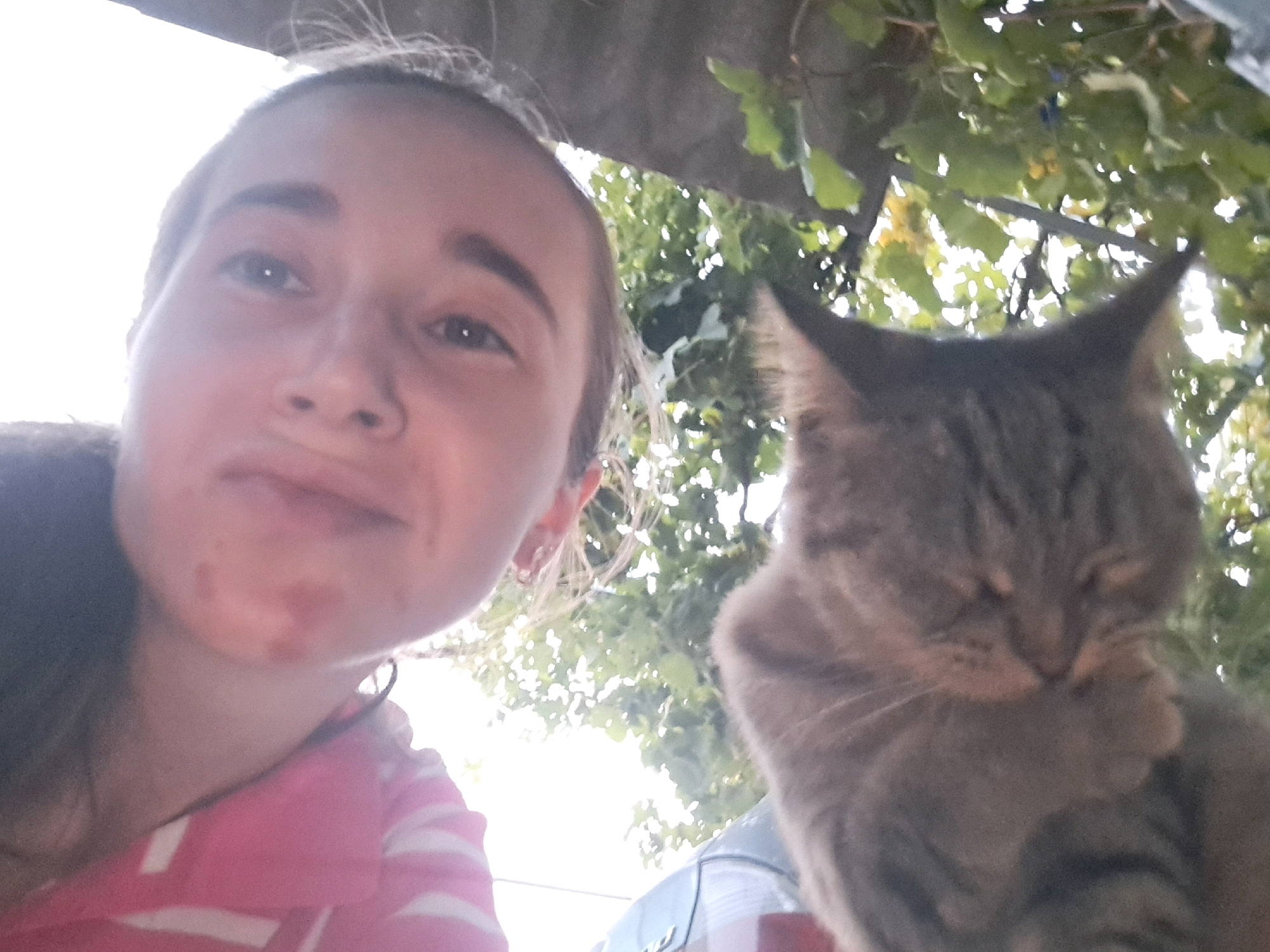 A young person is taking a selfie outdoors, with a cat in the frame. The person's face is in the foreground, with part of their face obscured by their hand. They are wearing a pink and white striped shirt. A tabby cat is in the background, grooming its paw. The background consists of green foliage and sunlight, suggesting an outdoor setting. The location is Vypasne, Ukraine.