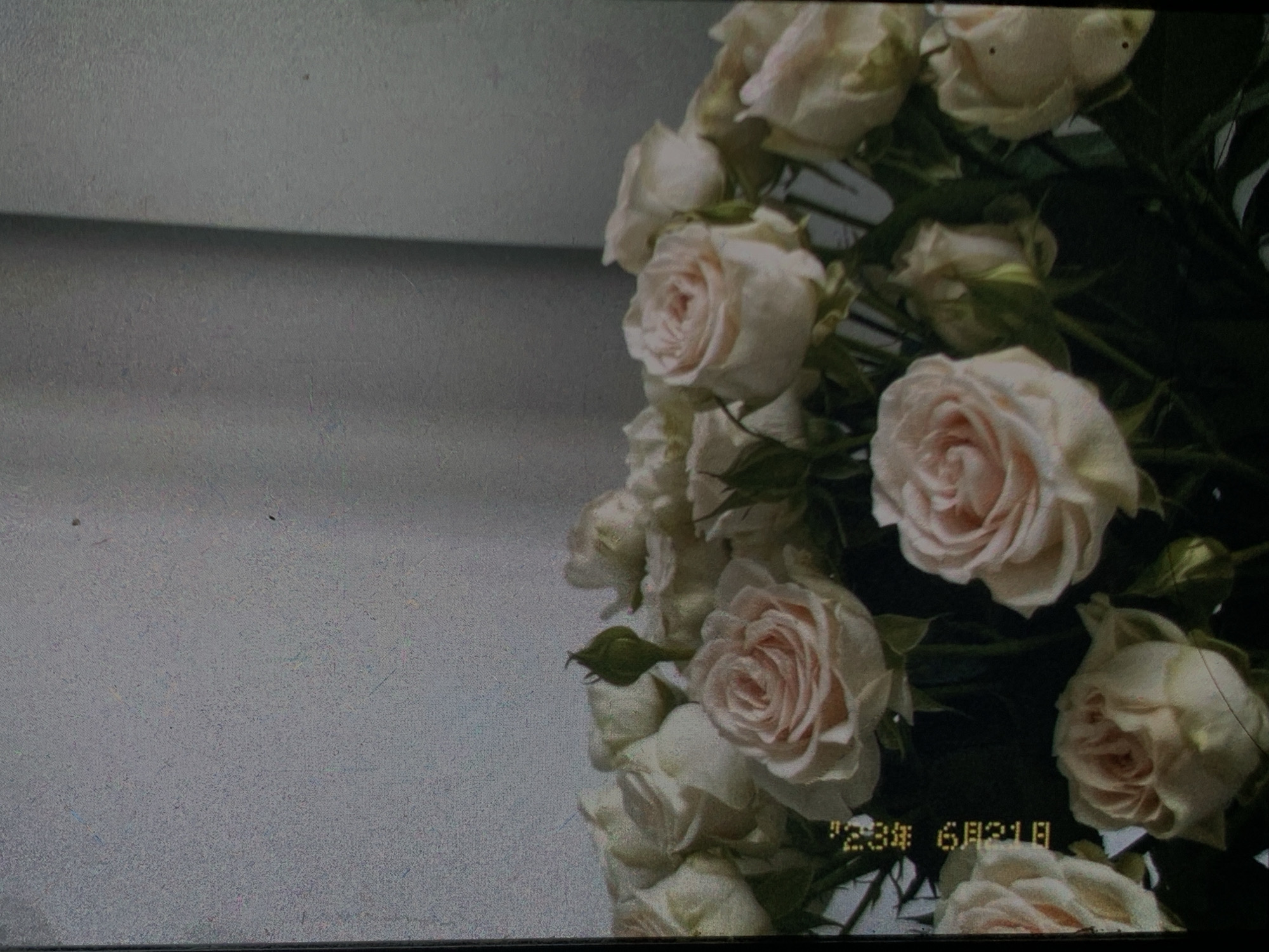 The image depicts a bouquet of light pink and white roses against a textured grey background, possibly a wall. A small portion of a dark green bud is visible amongst the blooms. In the lower left quadrant, a timestamp in Cyrillic text reads "12:38 6.03.18", suggesting the image was taken on March 6, 2018, at 12:38. The lighting is soft, casting subtle shadows. There are no people visible in the image. The scene is still and appears to be indoors. There is no information to suggest this image is located in Nizhny Tagil, Russia.