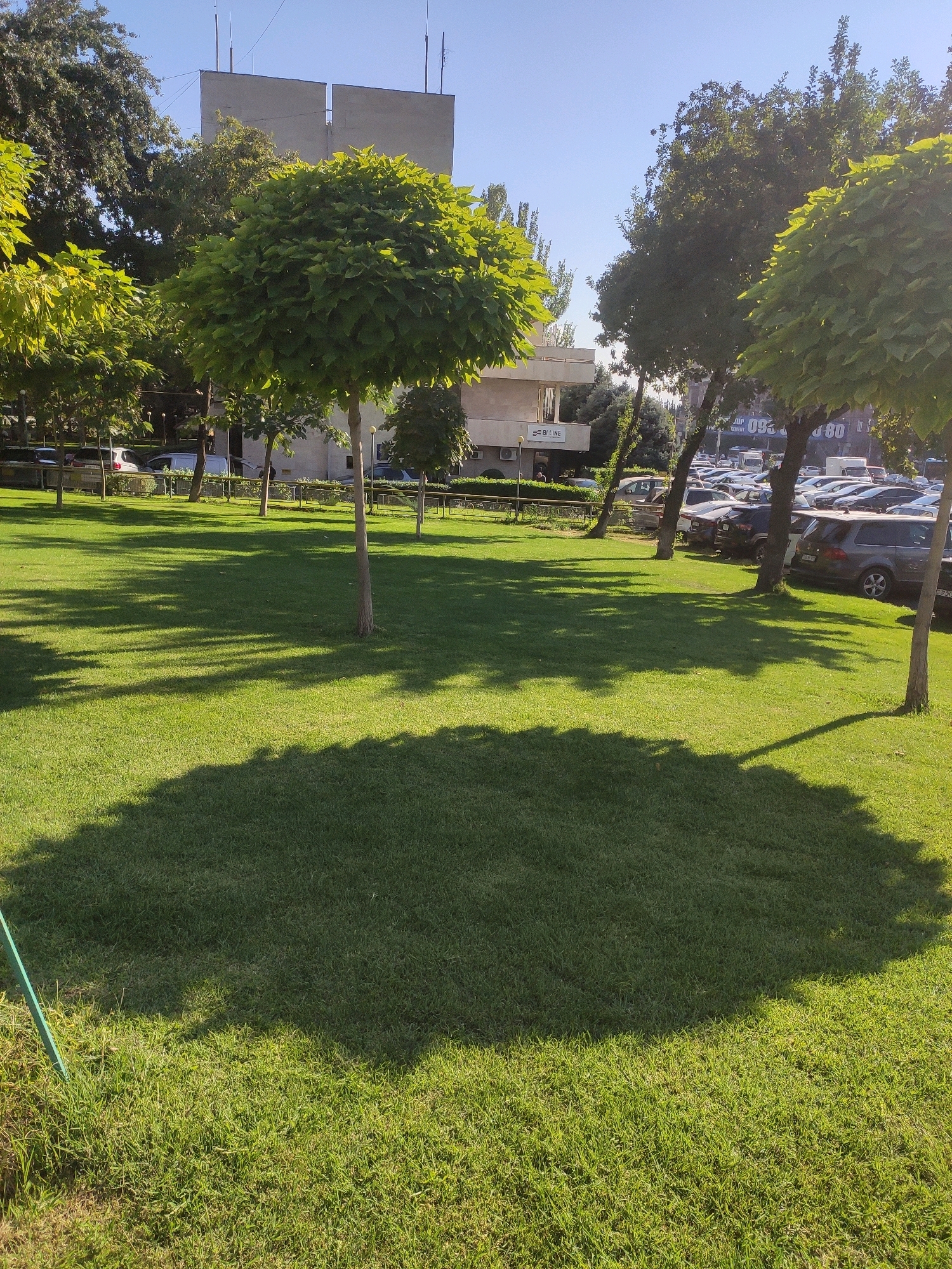 The image captures a sun-drenched park area with a well-maintained lawn in Yerevan, Armenia. In the foreground, a large, circular shadow from a tree dominates the lush green grass. Several trees with rounded canopies are strategically placed throughout the park, casting dappled shadows on the lawn. In the background, a parking lot is visible, filled with various cars. Beyond the parking lot, buildings are present, including a distinctive light-colored structure with multiple antennas on its roof. The sky is a clear, bright blue. The overall scene depicts a pleasant outdoor space in the city.