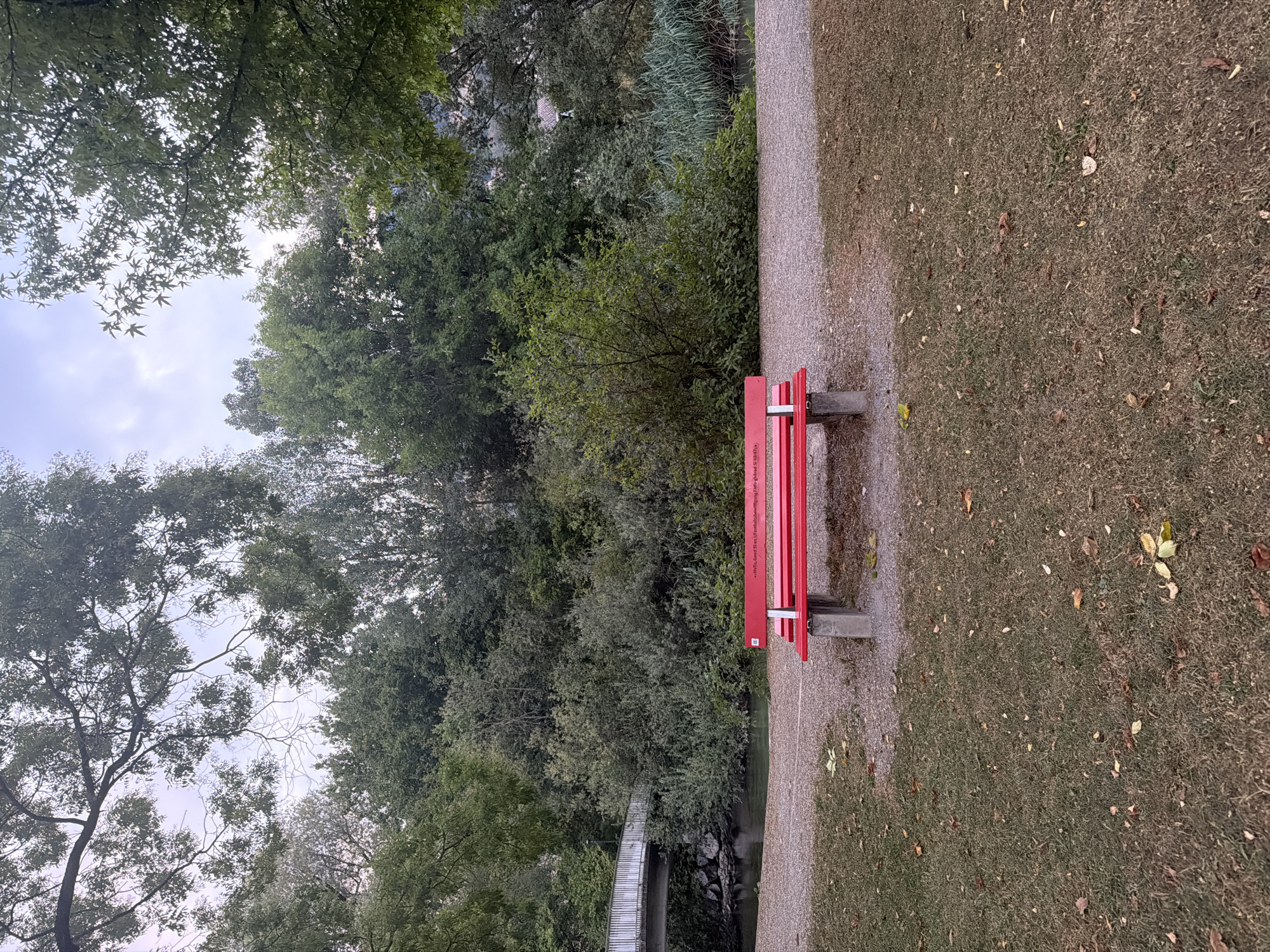 An eye-level, full shot captures a red park bench situated in a grassy area next to a gravel path. The bench is the central focus, with the top slat of its backrest displaying engraved text. Behind the bench, a dense wall of green trees forms a backdrop, interspersed with patches of sky and some distant foliage. To the left of the bench, a body of water is visible, crossed by a pedestrian bridge with a white railing. The ground in front of the bench is covered with dry grass and scattered fallen leaves. The lighting suggests it is daytime, possibly overcast or nearing dusk, with a soft, diffused light. The scene is peaceful and appears to be in a park or a natural setting within an urban environment.
