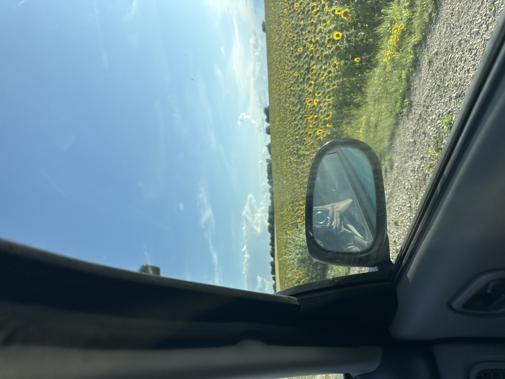 An outdoor, eye-level, medium shot captures a view from inside a car looking out at a field of sunflowers under a bright blue sky with scattered white clouds. The left side of the frame is dominated by the interior of the car, including a black door panel with a handle and a partial view of a black frame, likely an A-pillar. To the right, a side-view mirror reflects a person holding a smartphone, taking a selfie. Beyond the mirror, a gravel road leads into the distance, bordered by green grass and small yellow wildflowers. The main focus of the scene is a vast, dense field of sunflowers, their yellow petals creating a vibrant contrast against the green foliage. The horizon is marked by a line of trees. The location is identified as Sagaidac, Moldova.