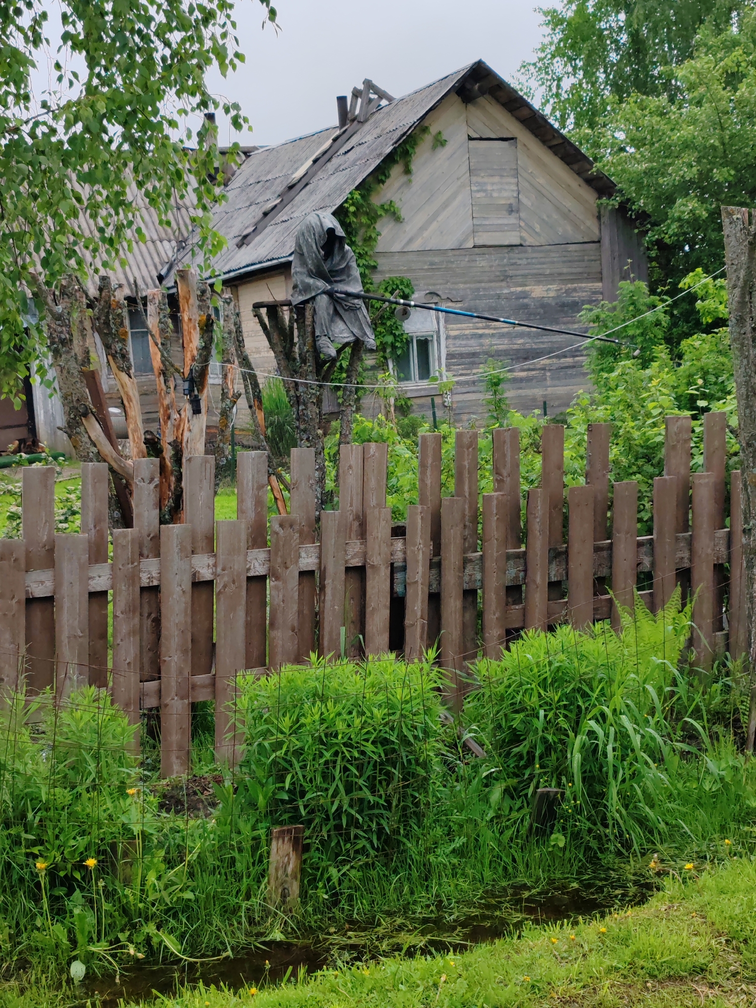 The photograph depicts a rural scene in Чухлэм, Russia. In the background, a weathered wooden house with a slate roof stands amidst trees and vegetation. A scarecrow, cloaked in dark fabric, sits atop a fence post adjacent to a gnarled tree. In the foreground, a brown picket fence runs across the scene, partially obscured by overgrown green plants. A small ditch, partially filled with water, is visible in the very front. The sky appears overcast.