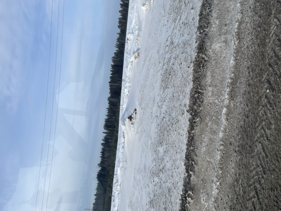 The image displays a desolate winter landscape located in Meshcheryaki, Russia, under a light blue sky with scattered clouds. The immediate foreground features a dark, dirty, and slushy ground surface, consistent with a road shoulder or unpaved area, exhibiting faint tire treads. This transitions into a snow-covered field in the midground, characterized by undulating snowdrifts and intermittent patches of exposed dark earth or vegetation. A distinct dark mound, partially covered by snow, is centrally positioned within this field. The background is dominated by a dense, dark green treeline, primarily composed of conifers with a few bare deciduous trees interspersed, extending across the horizon. Overhead, at least three parallel power lines traverse the upper portion of the sky, and a power transmission pylon is faintly discernible to the far left, near the treeline. Reflections in the upper part of the frame suggest the image was captured through a window. No human figures, animals, or explicit activities are observed within the depicted environment.
