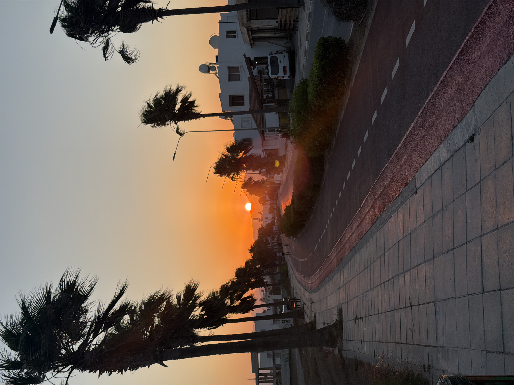 The image depicts a street scene in Meneou, Cyprus, during sunset. Palm trees line a pedestrian walkway on the left side, which is paved with gray square tiles. Adjacent to the walkway is a road with a red-colored lane, marked with white dashed lines. In the distance, the sun is setting over a low hill, casting a warm orange glow across the sky. Several white buildings with tiled roofs are visible along the road. A white van is parked in front of one of the buildings. A few people can be seen walking and cycling on the path and road. The overall atmosphere is serene, with the natural beauty of the sunset contrasting with the urban environment.