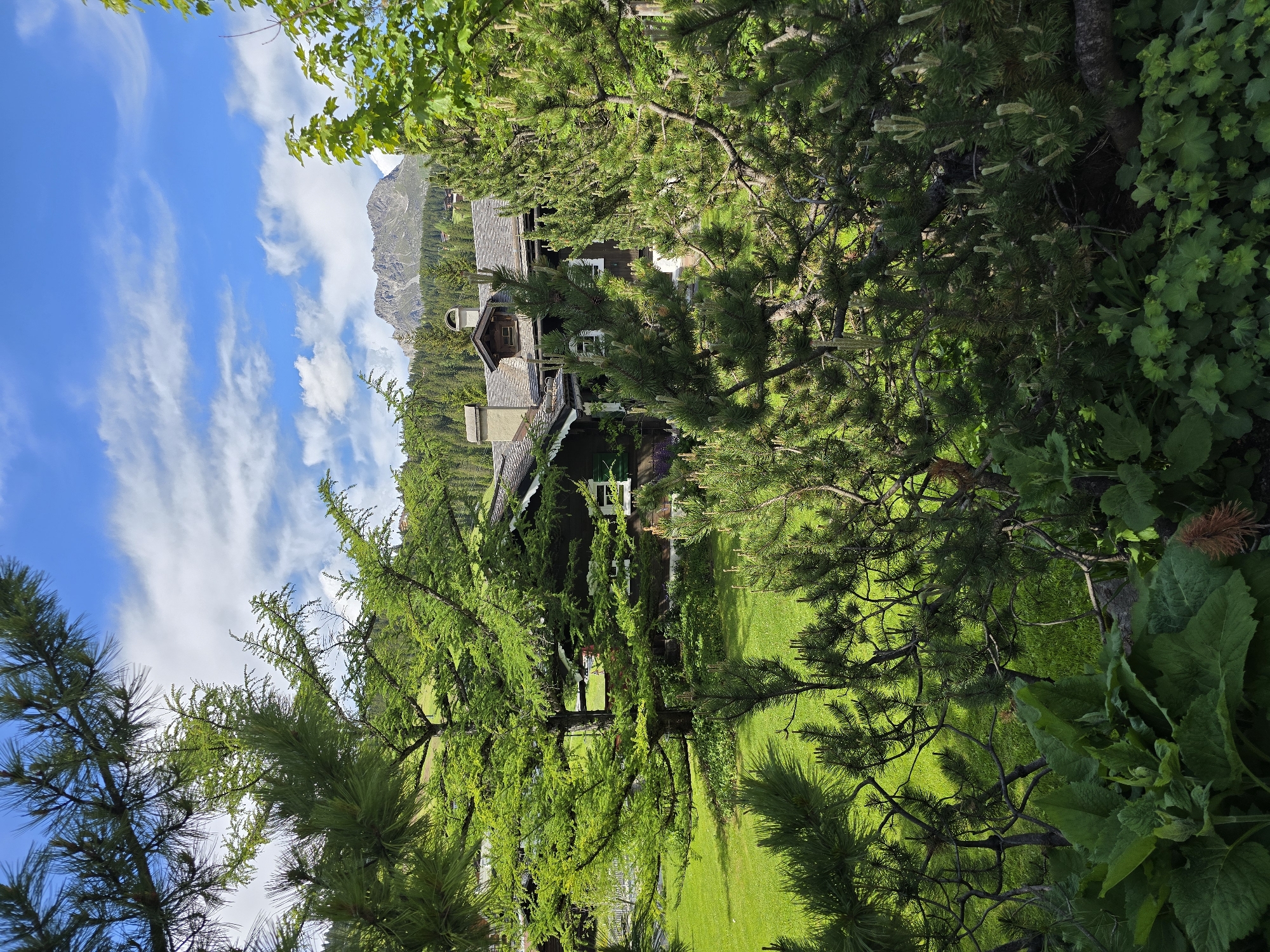 This image depicts a picturesque view of a traditional Alpine house nestled amongst lush greenery, with a majestic mountain range in the background. The house, constructed with dark wood and a grey-tiled roof, features a prominent chimney and several windows, one with green shutters. The foreground is dominated by dense pine trees, their branches partially obscuring the view of the house and a manicured green lawn. The sky above is a vibrant blue, dotted with scattered white clouds. The scene evokes a sense of tranquility and natural beauty characteristic of the Austrian Alps, likely in a location such as Lech, Austria, known for its stunning mountain landscapes and charming chalets. There are no people or animals visible in the image.